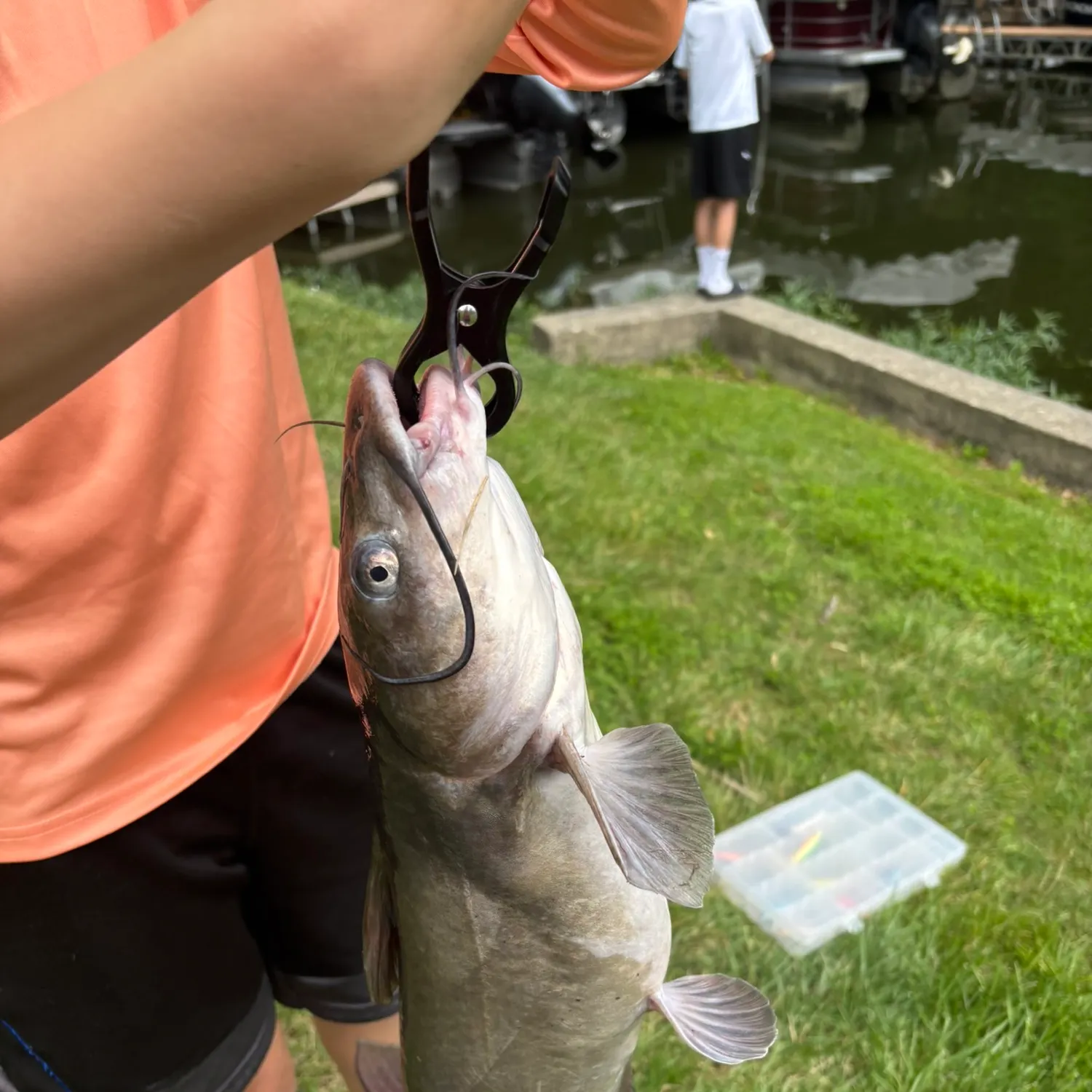 catch