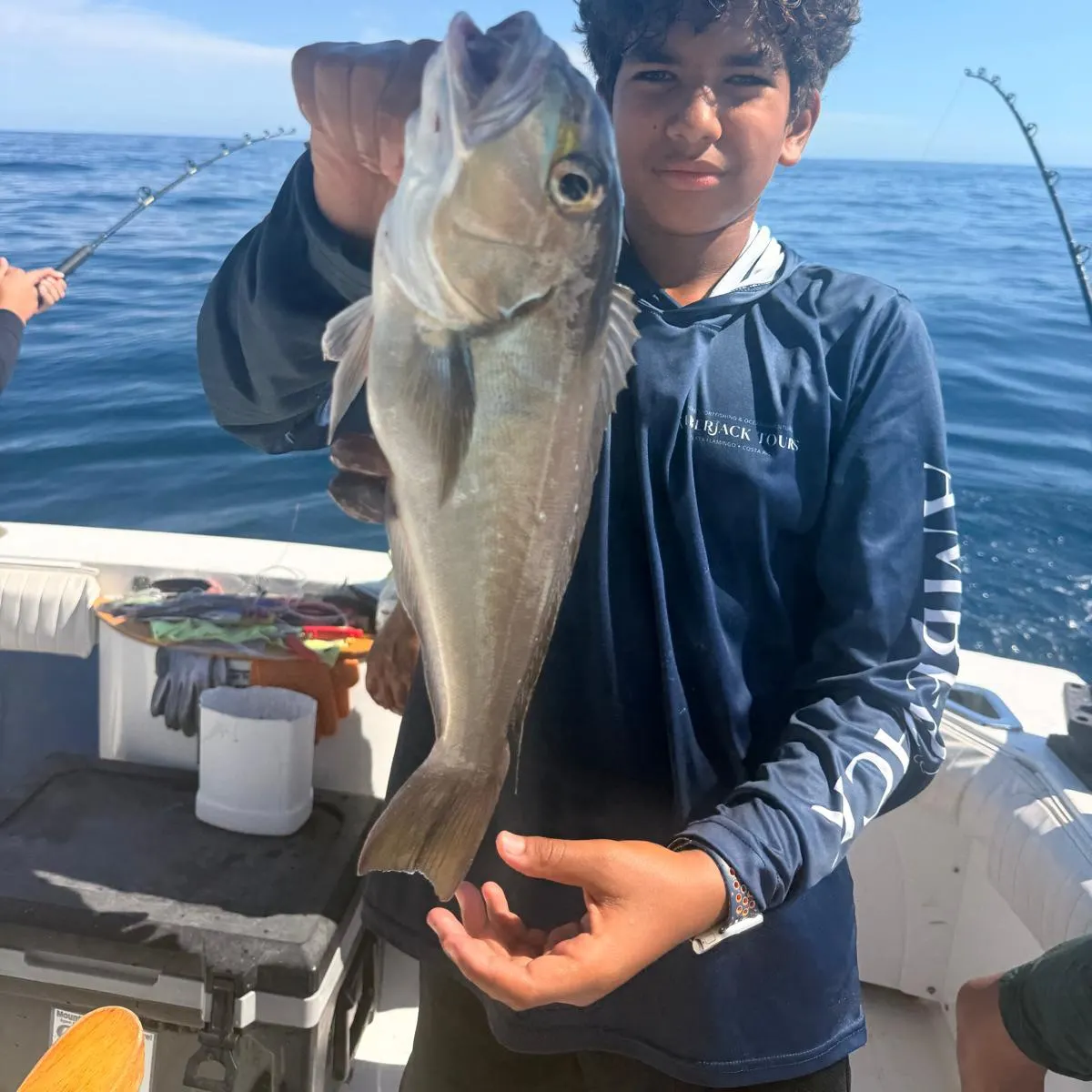 The most recent Great northern tilefish catches on Fishbrain