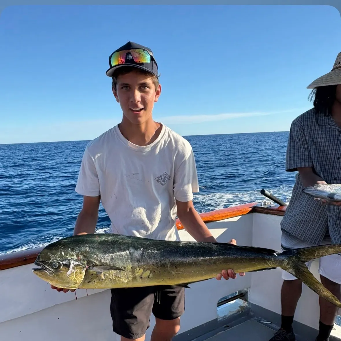 The most recent Common dolphinfish catches on Fishbrain