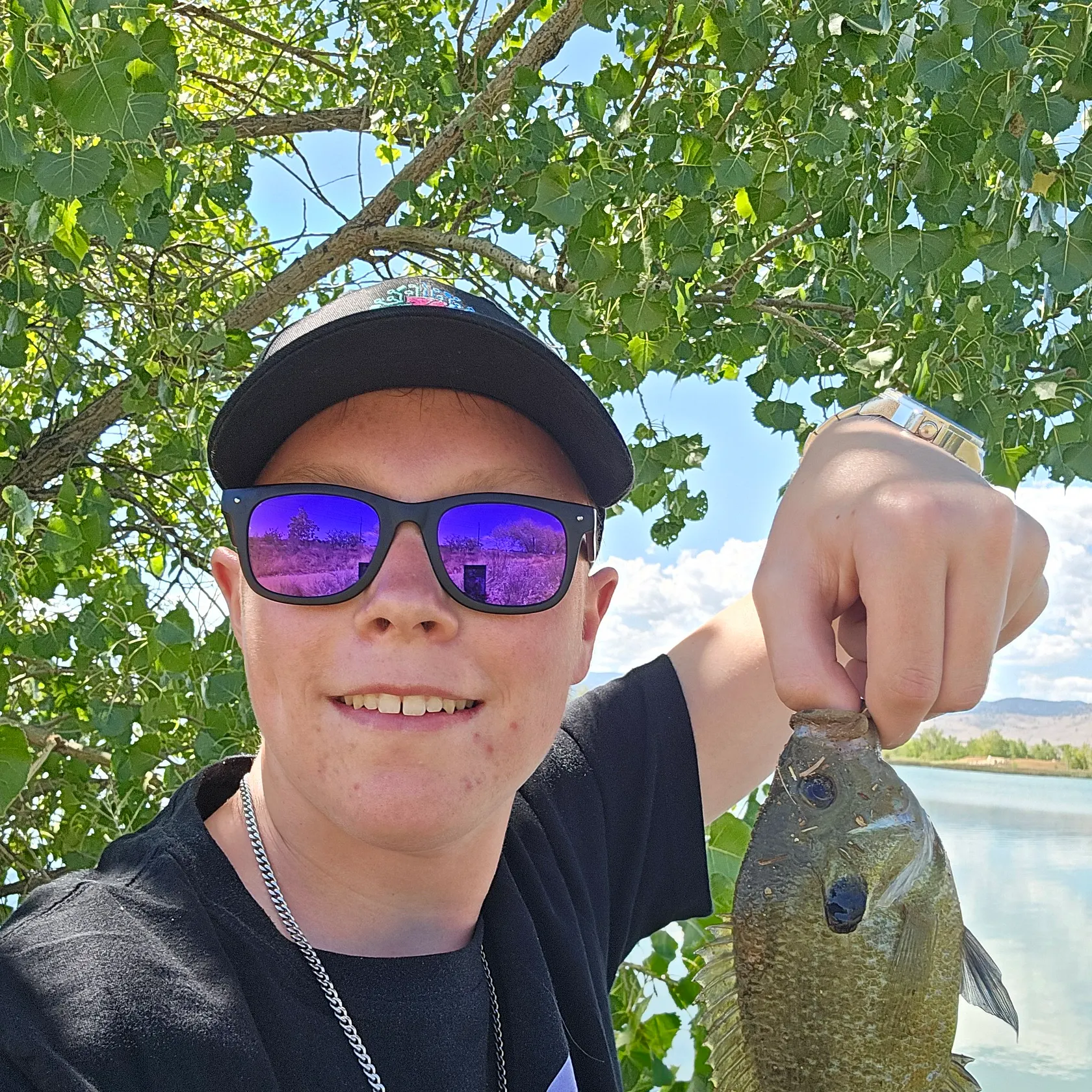 Bluegill caught on Fishbrain