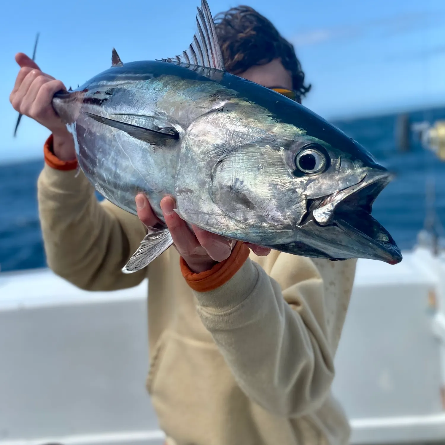 The most popular recent Skipjack tuna catch on Fishbrain