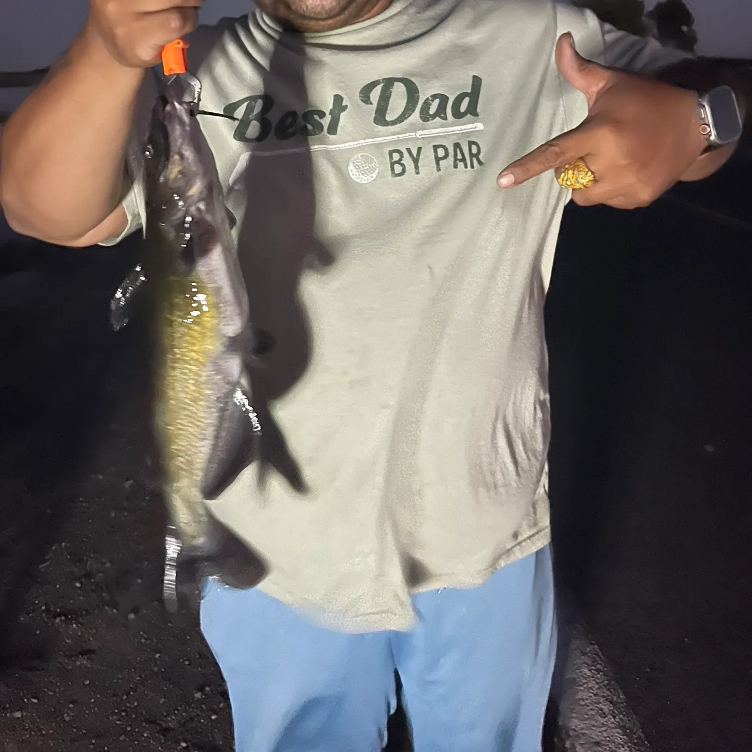 Channel catfish caught on Fishbrain