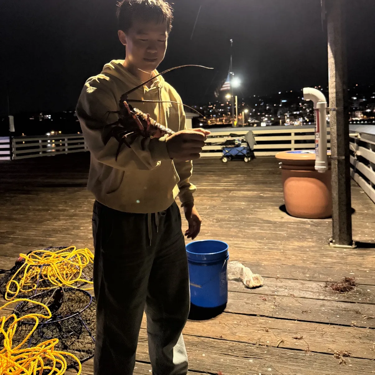The most recent California spiny lobster catches on Fishbrain