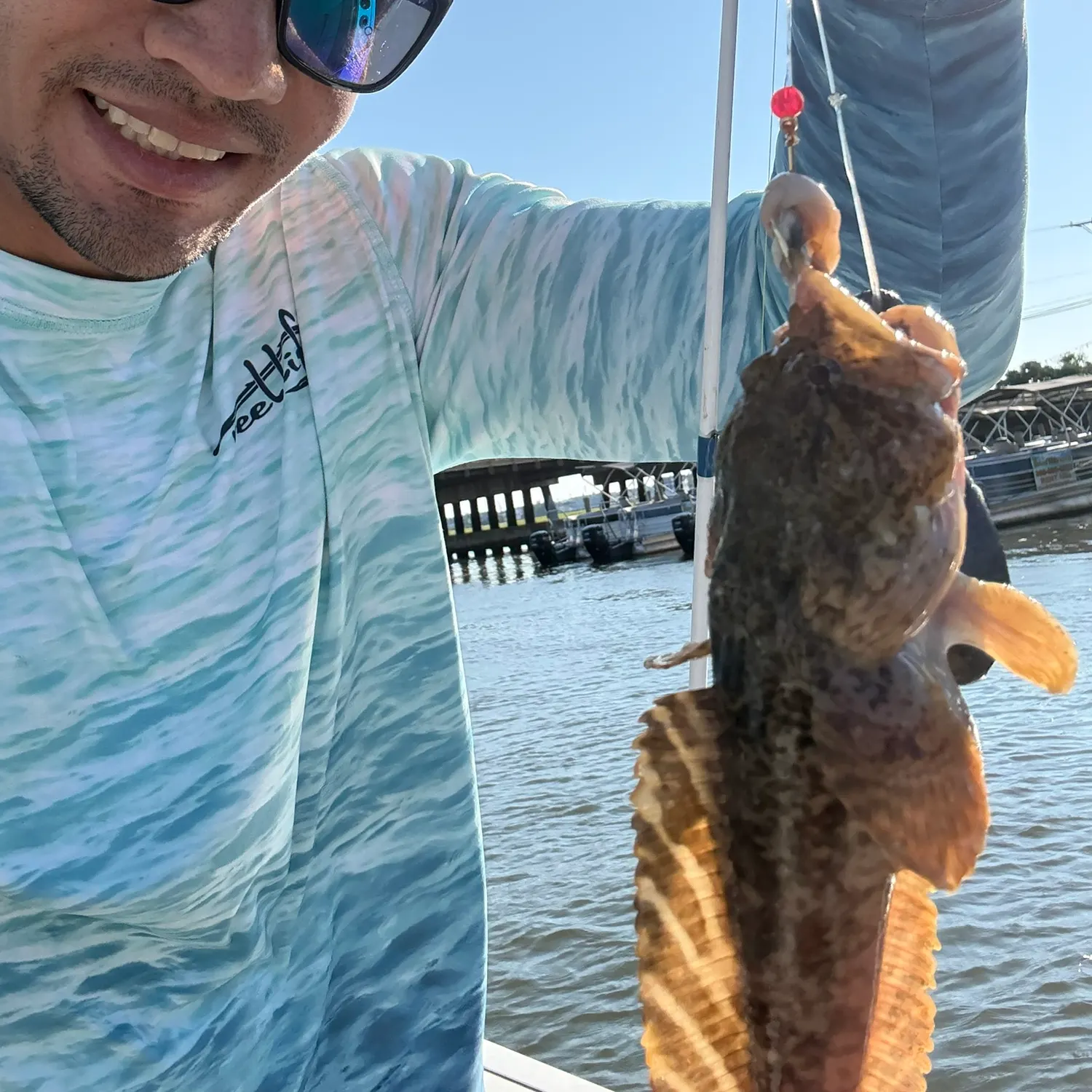 Oyster toadfish caught on Fishbrain