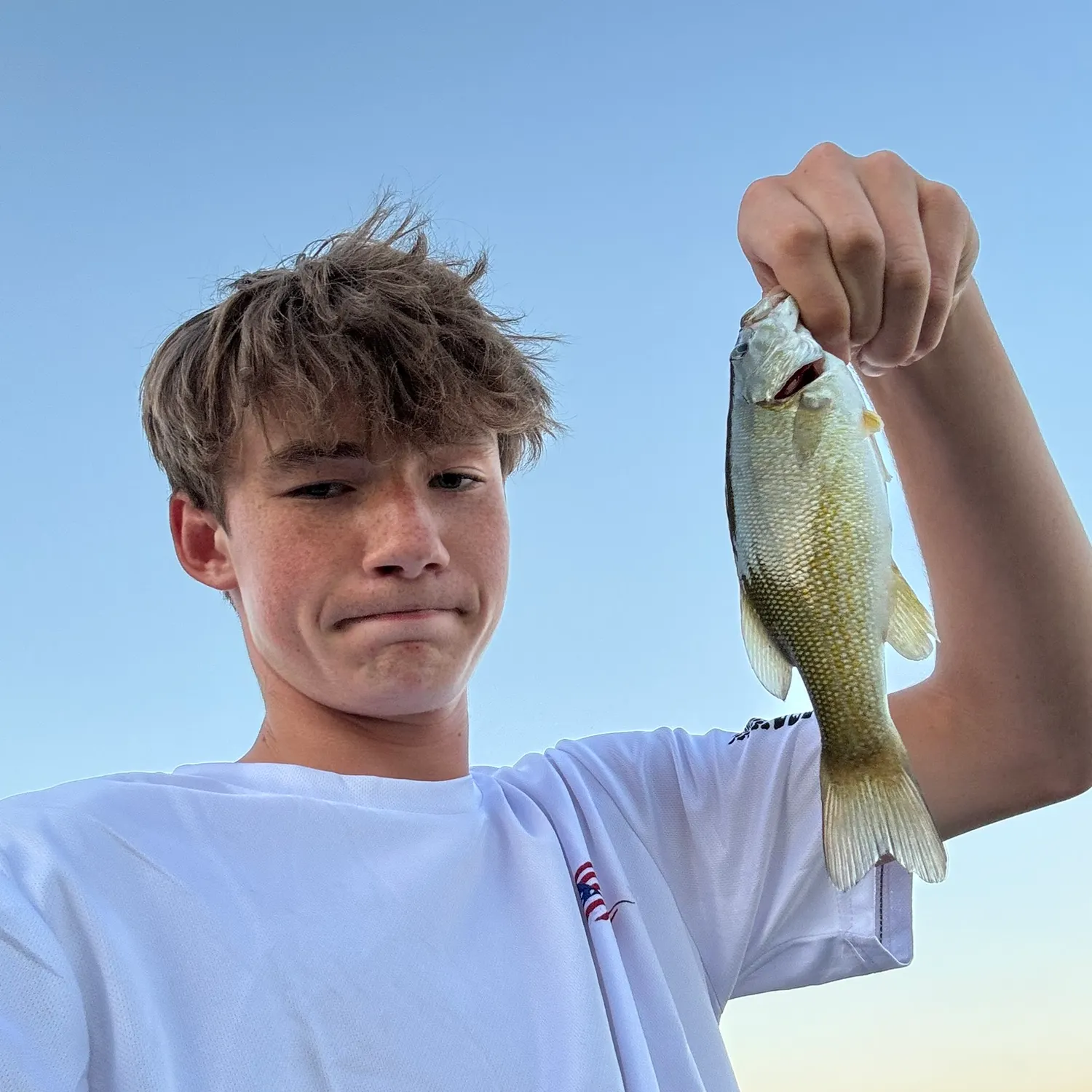 Smallmouth bass caught on Fishbrain