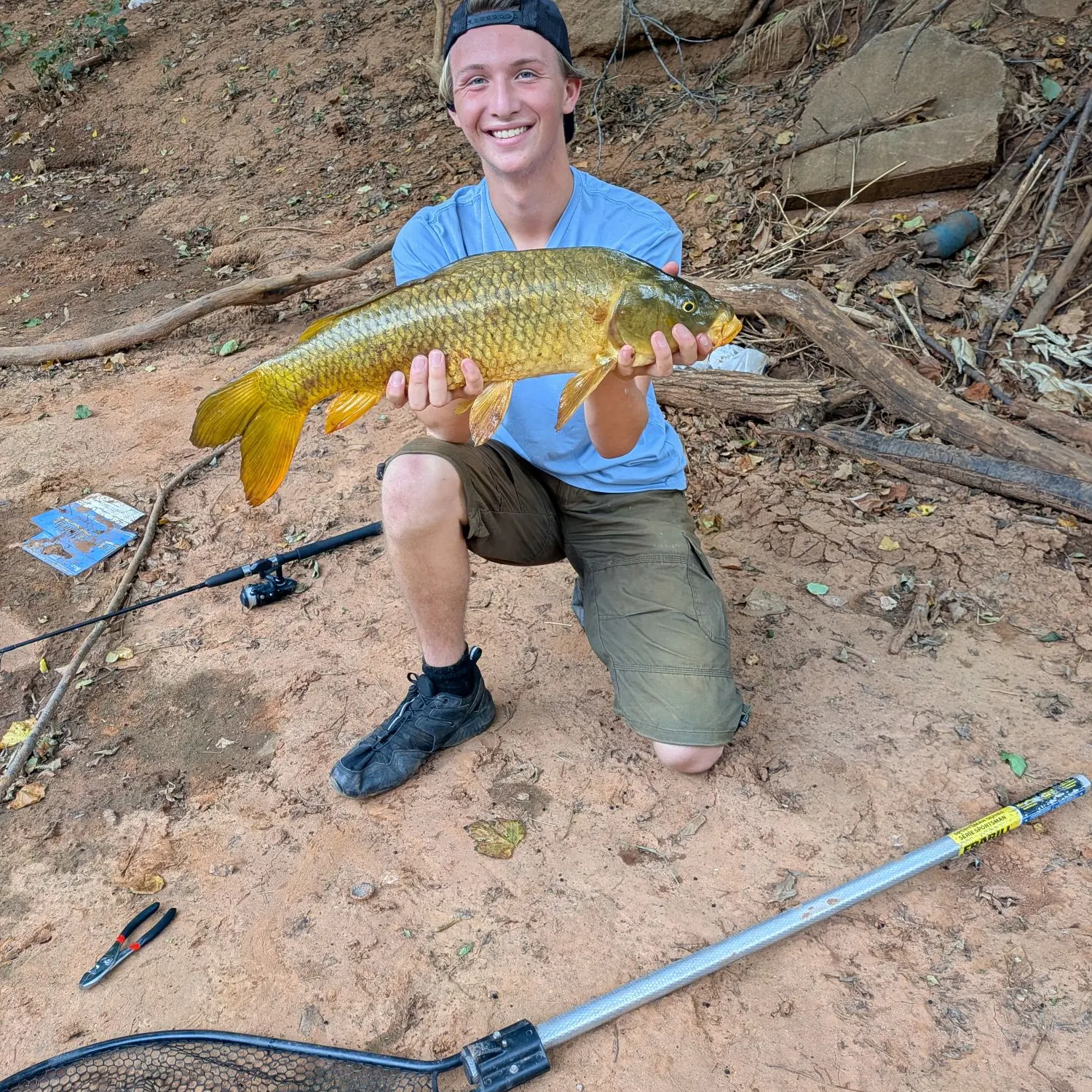 Common carp caught on Fishbrain
