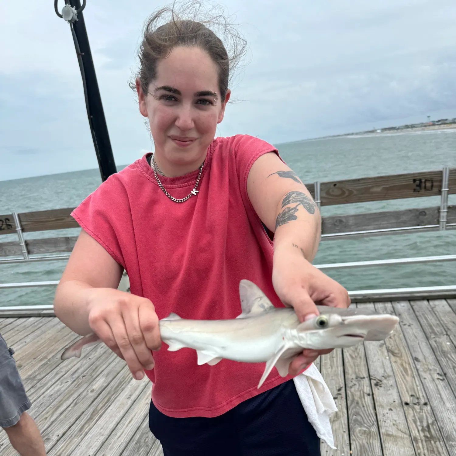 The most recent Scalloped hammerhead shark catches on Fishbrain