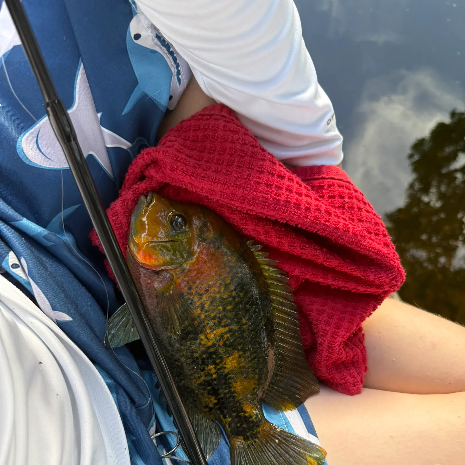 The most recent Oscar catches on Fishbrain