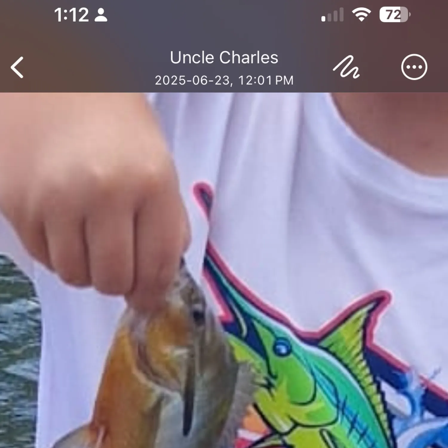 recently logged catches