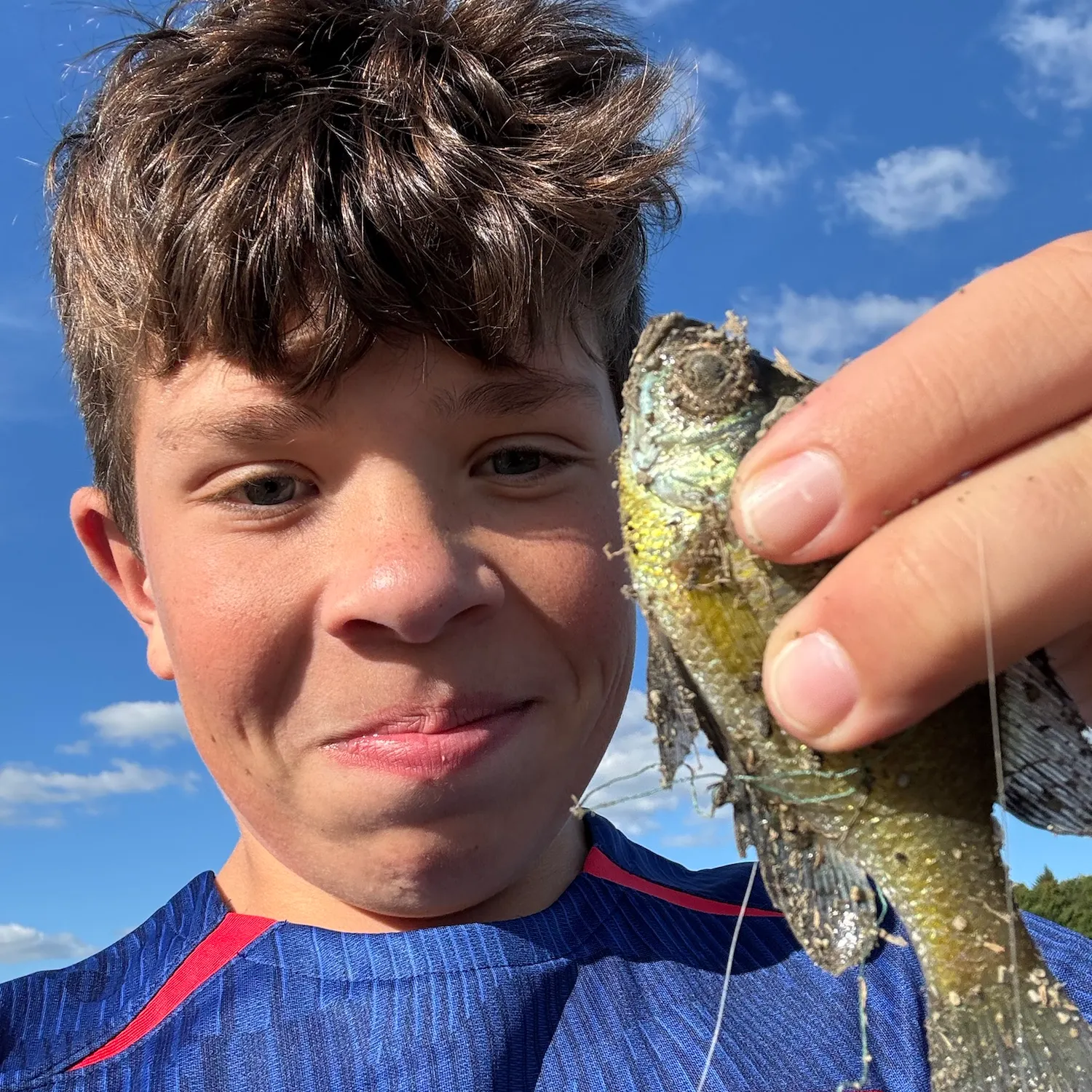 Bluegill caught on Fishbrain
