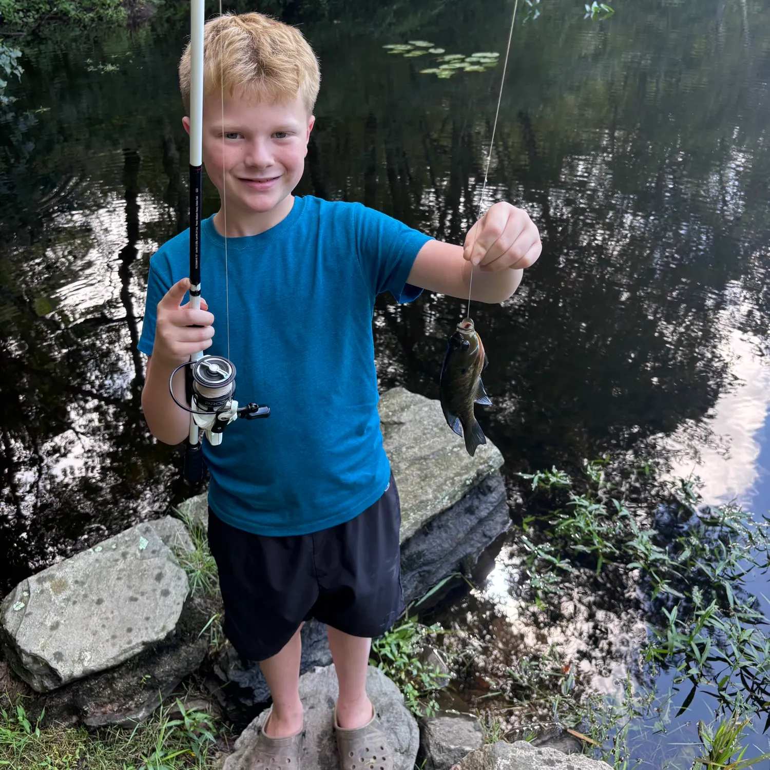 Bluegill caught on Fishbrain
