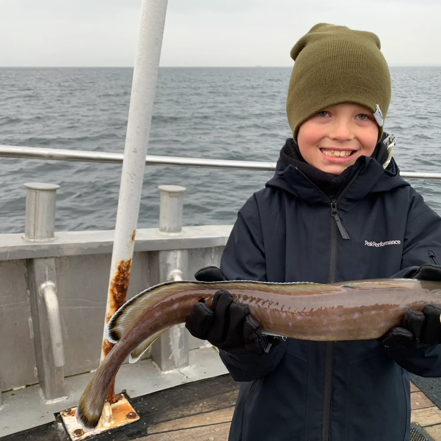 The most recent Common ling catches on Fishbrain