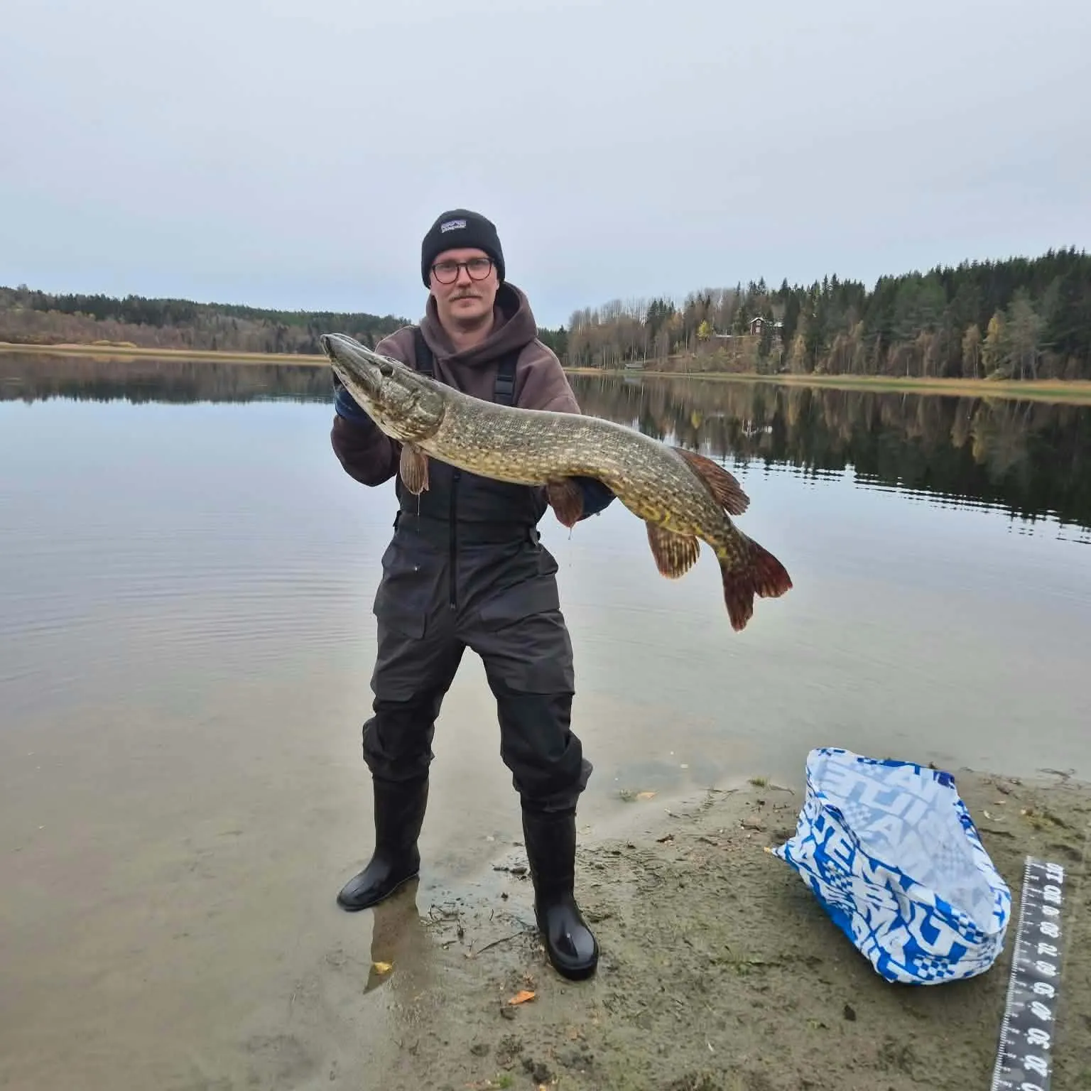 Northern pike caught on Fishbrain