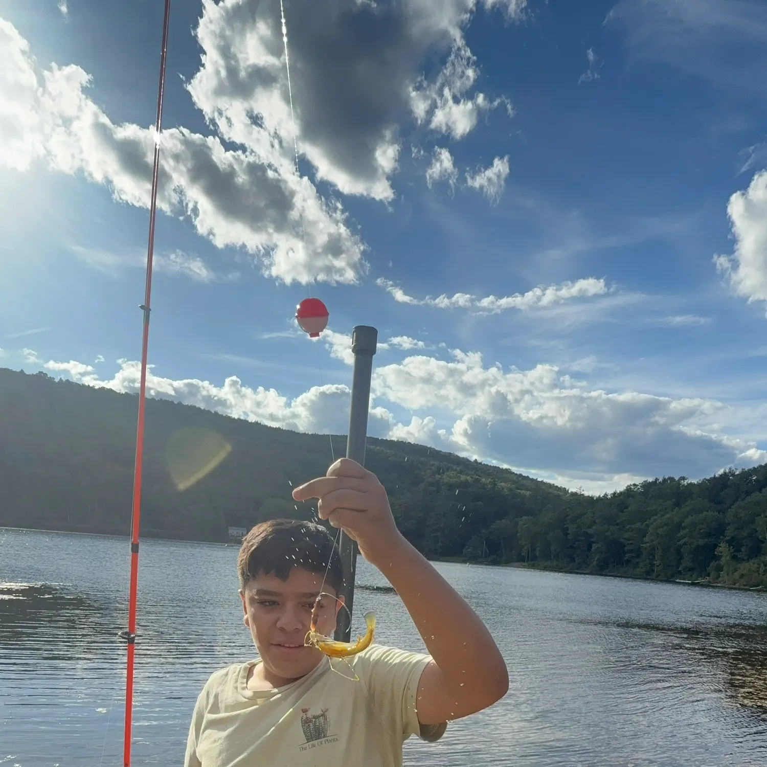 The most recent Pumpkinseed catches on Fishbrain