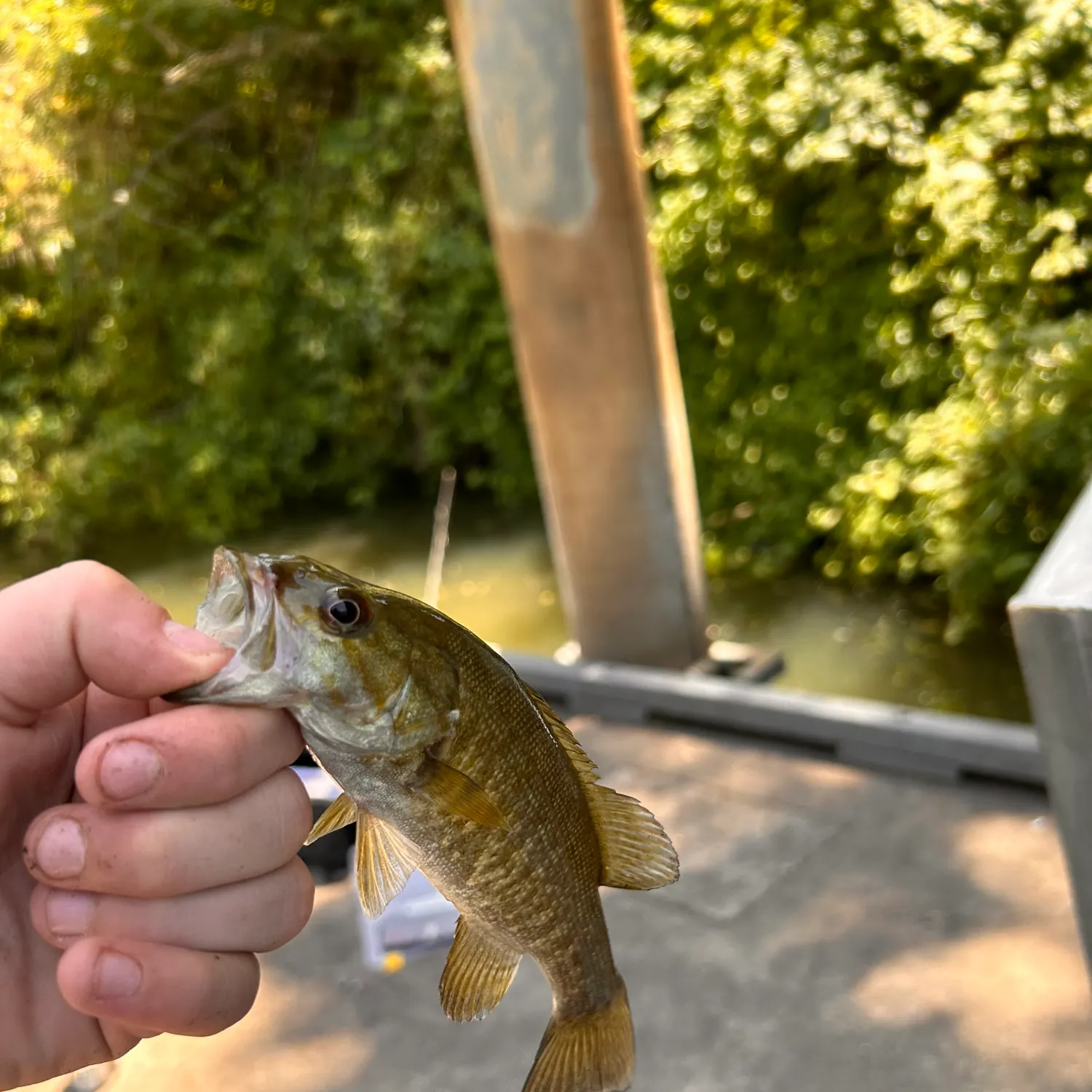 catch