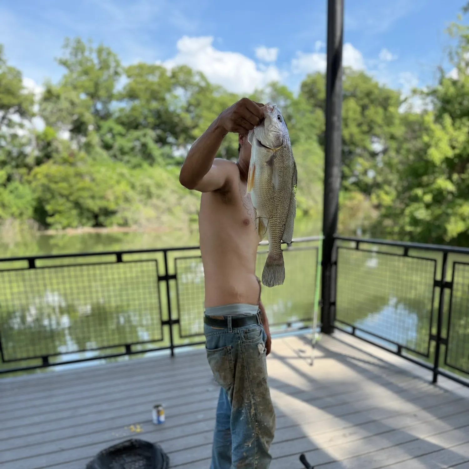 The most recent Freshwater drum catches on Fishbrain