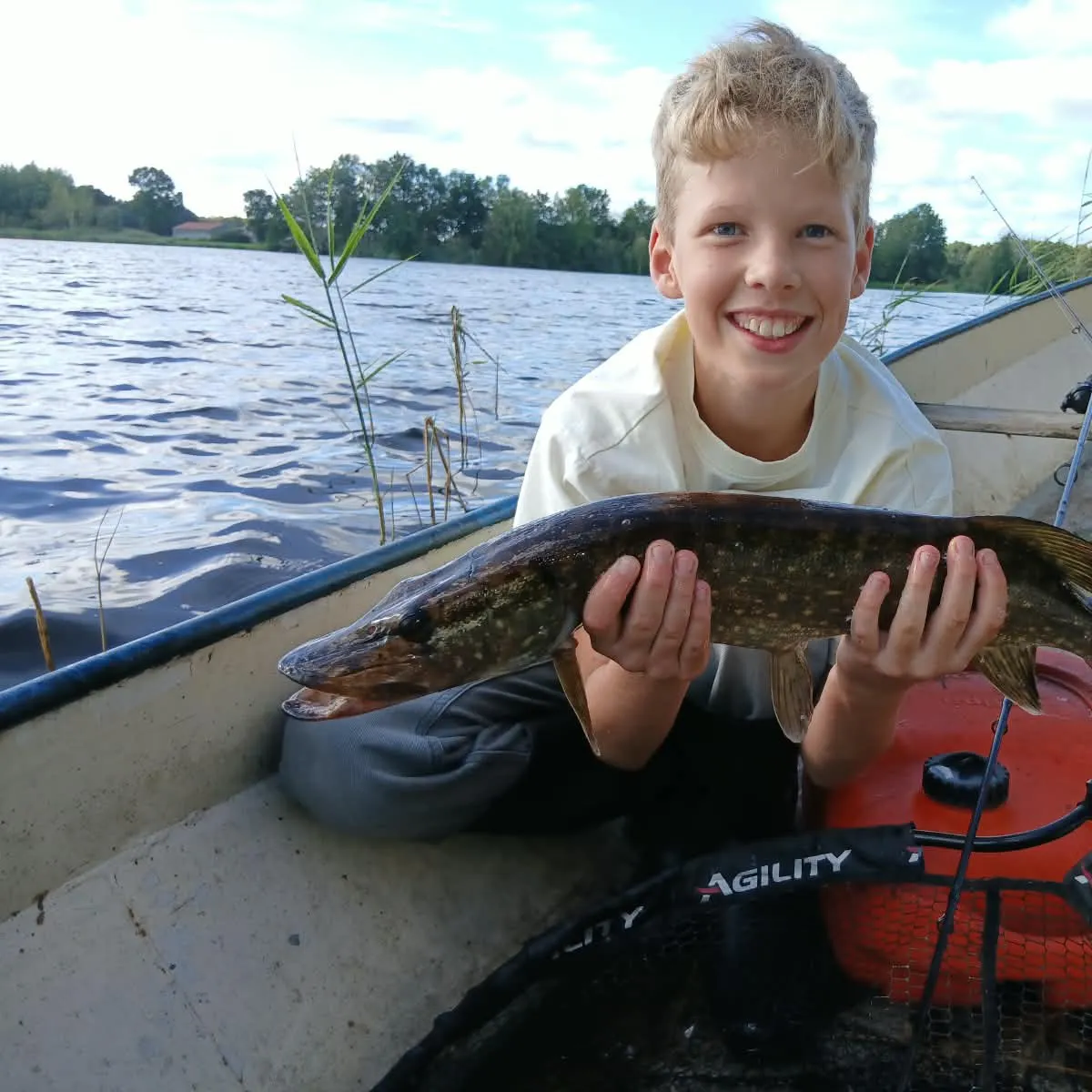 Northern pike caught on Fishbrain