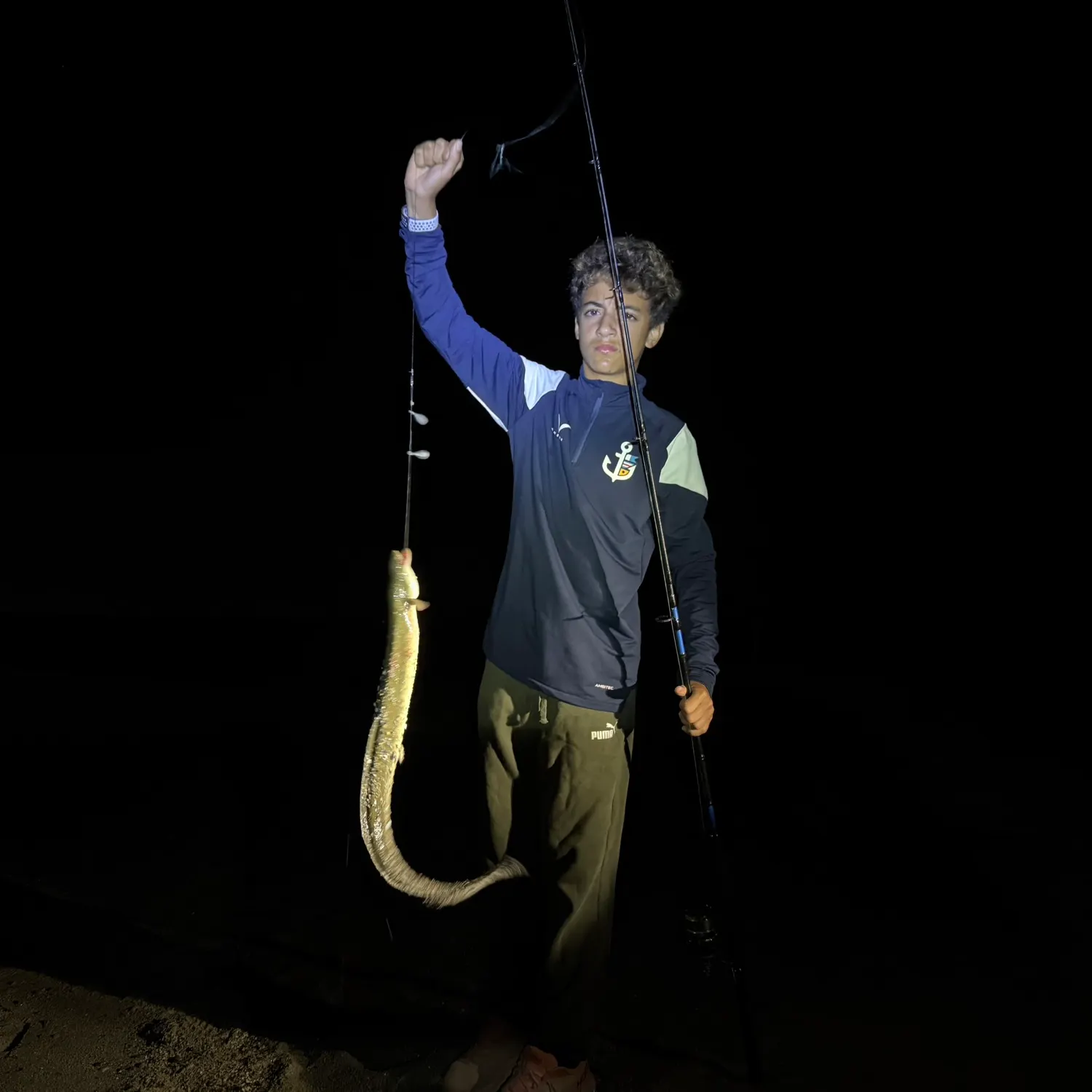 American eel caught on Fishbrain