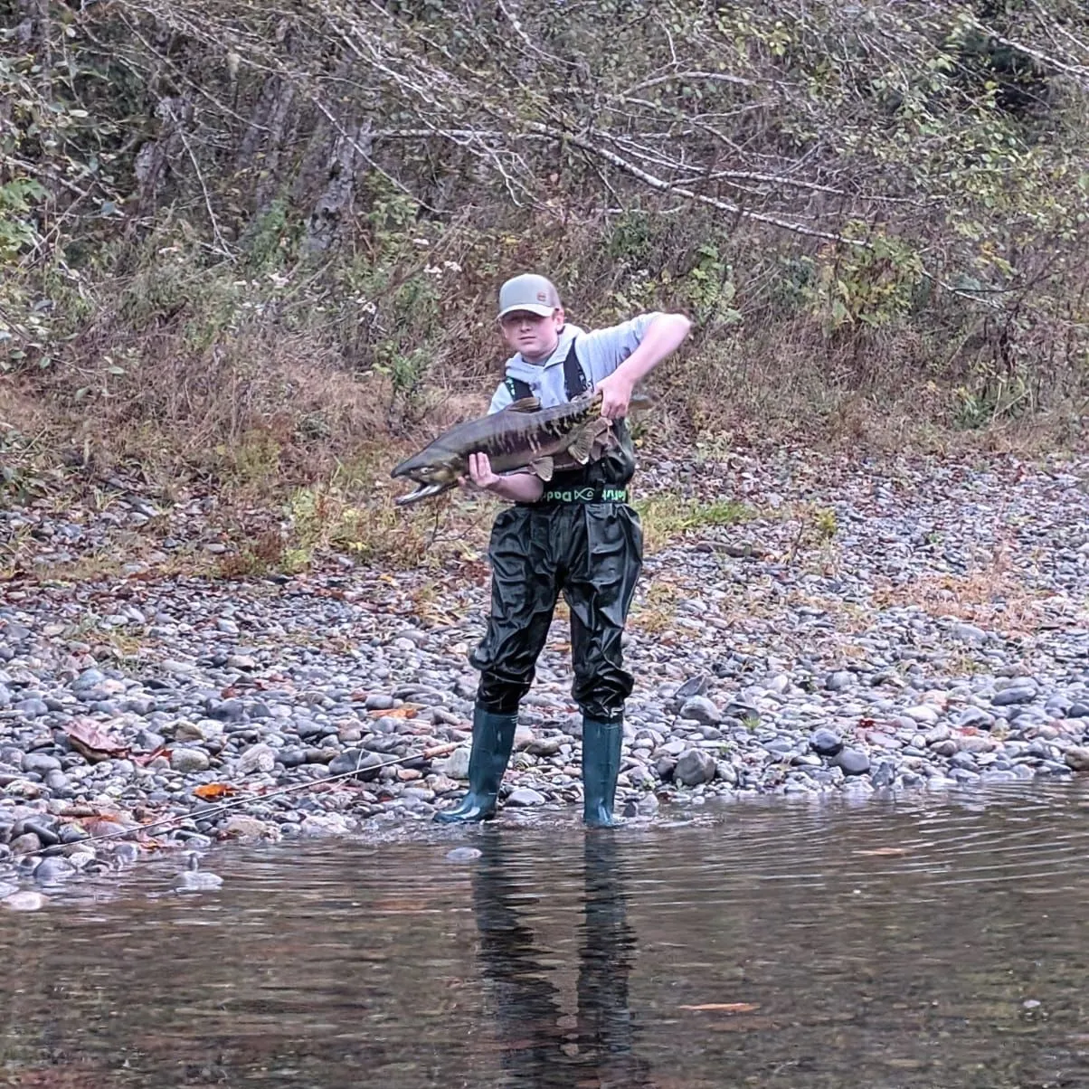 Chum salmon caught on Fishbrain