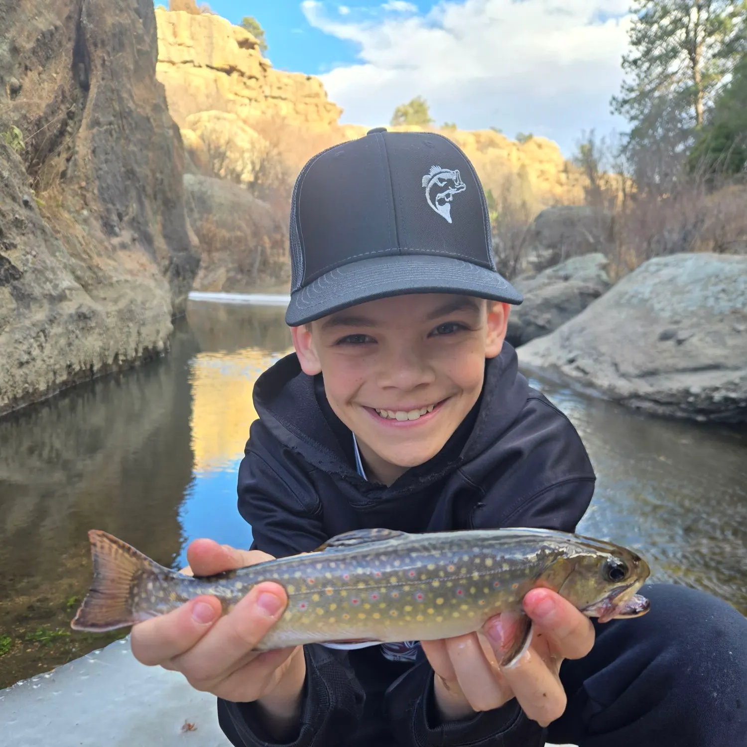 The most recent Brook trout catches on Fishbrain