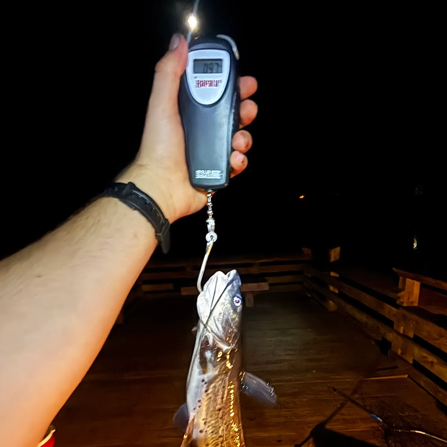 Channel catfish caught on Fishbrain