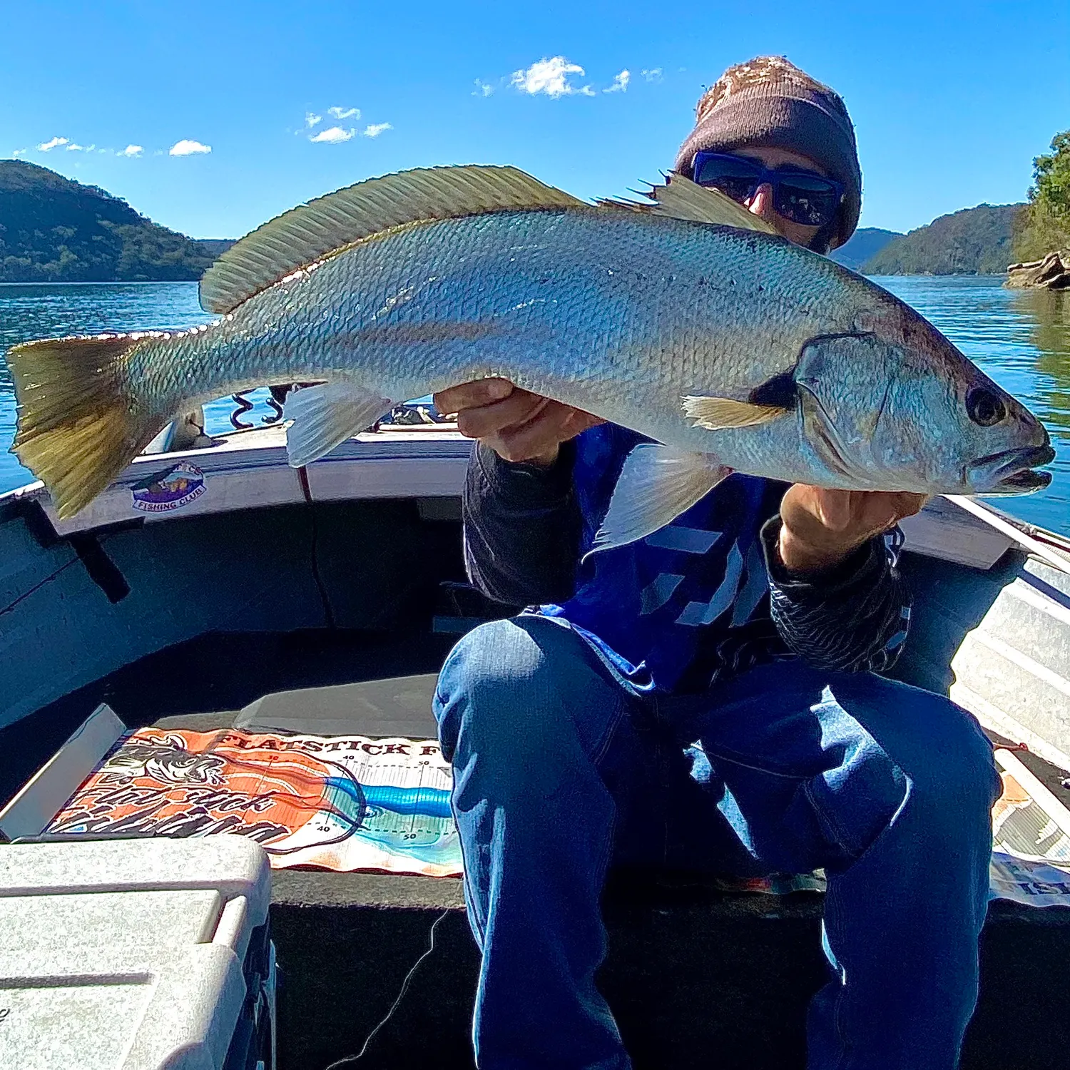 Japanese meagre caught on Fishbrain