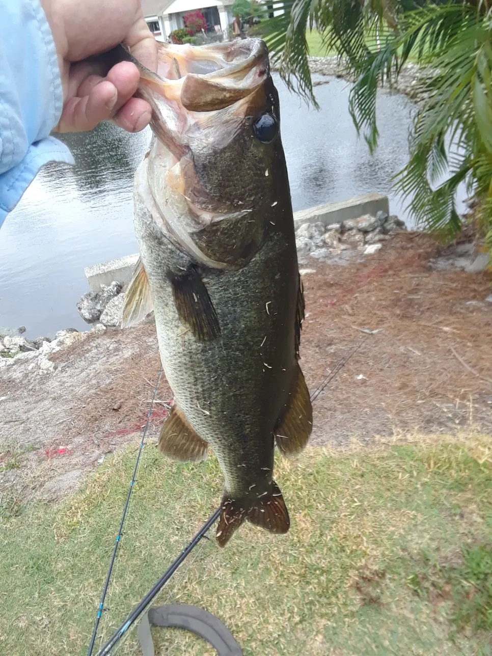 Post image from jacob.middleton