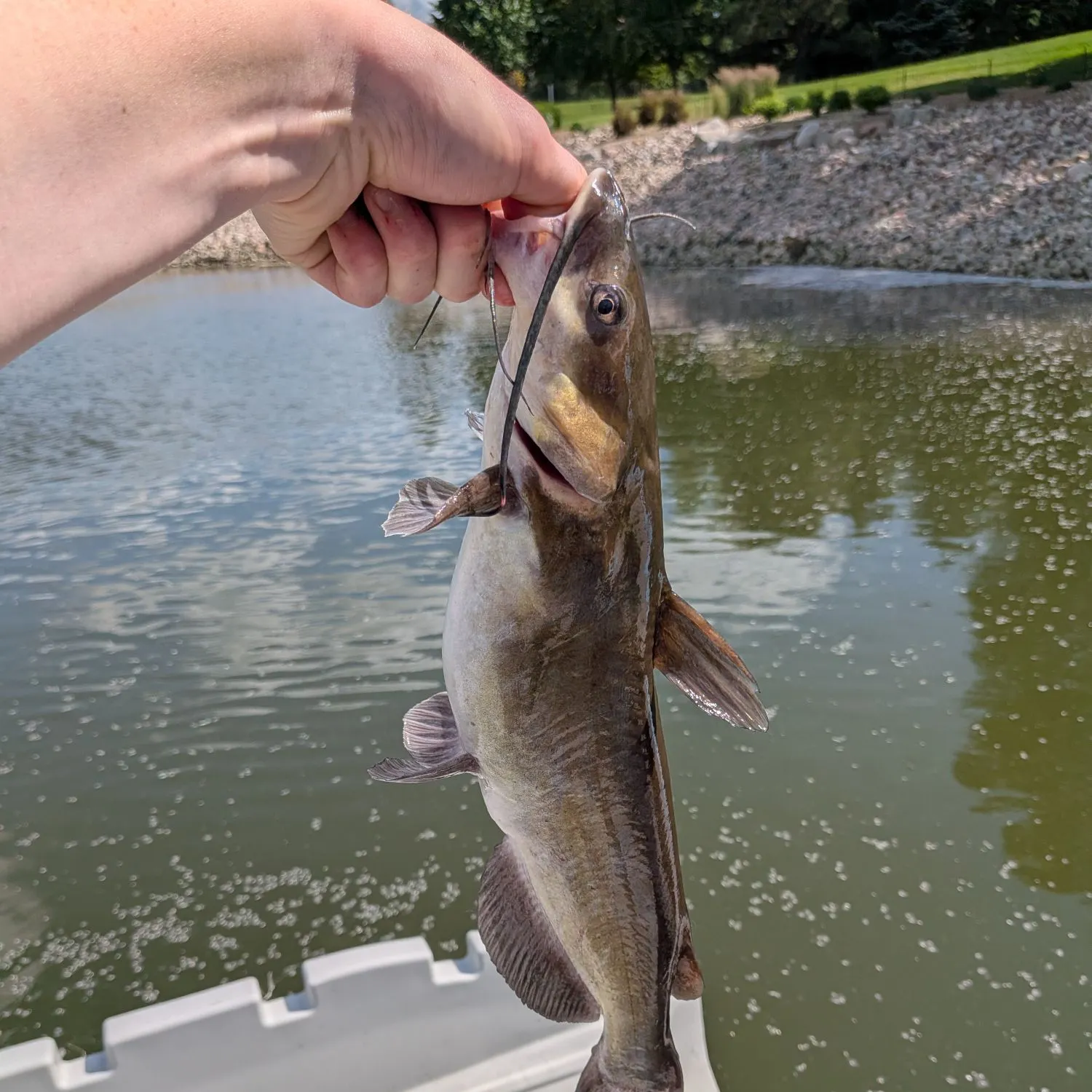 catch