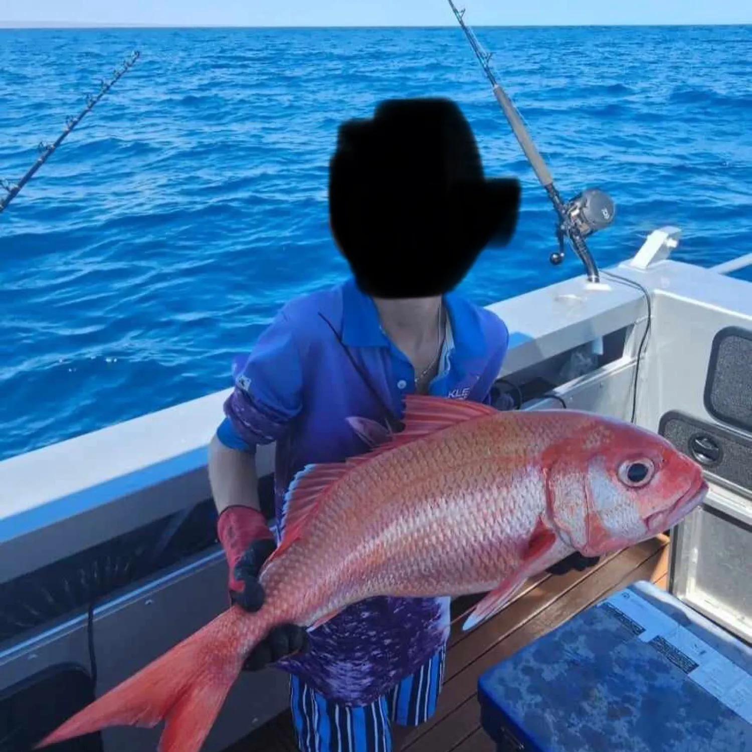 The most recent Ruby snapper catches on Fishbrain