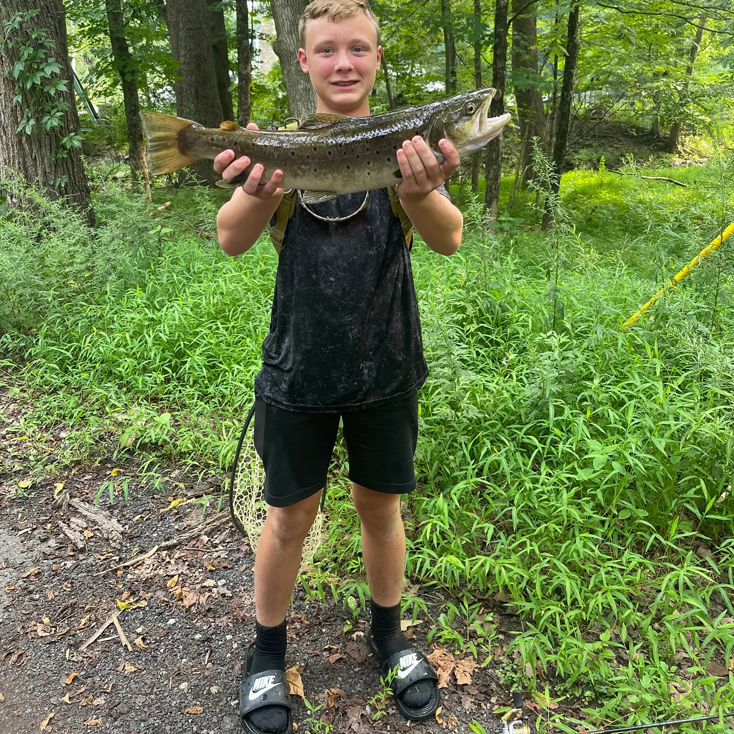 The most recent Brown trout catches on Fishbrain