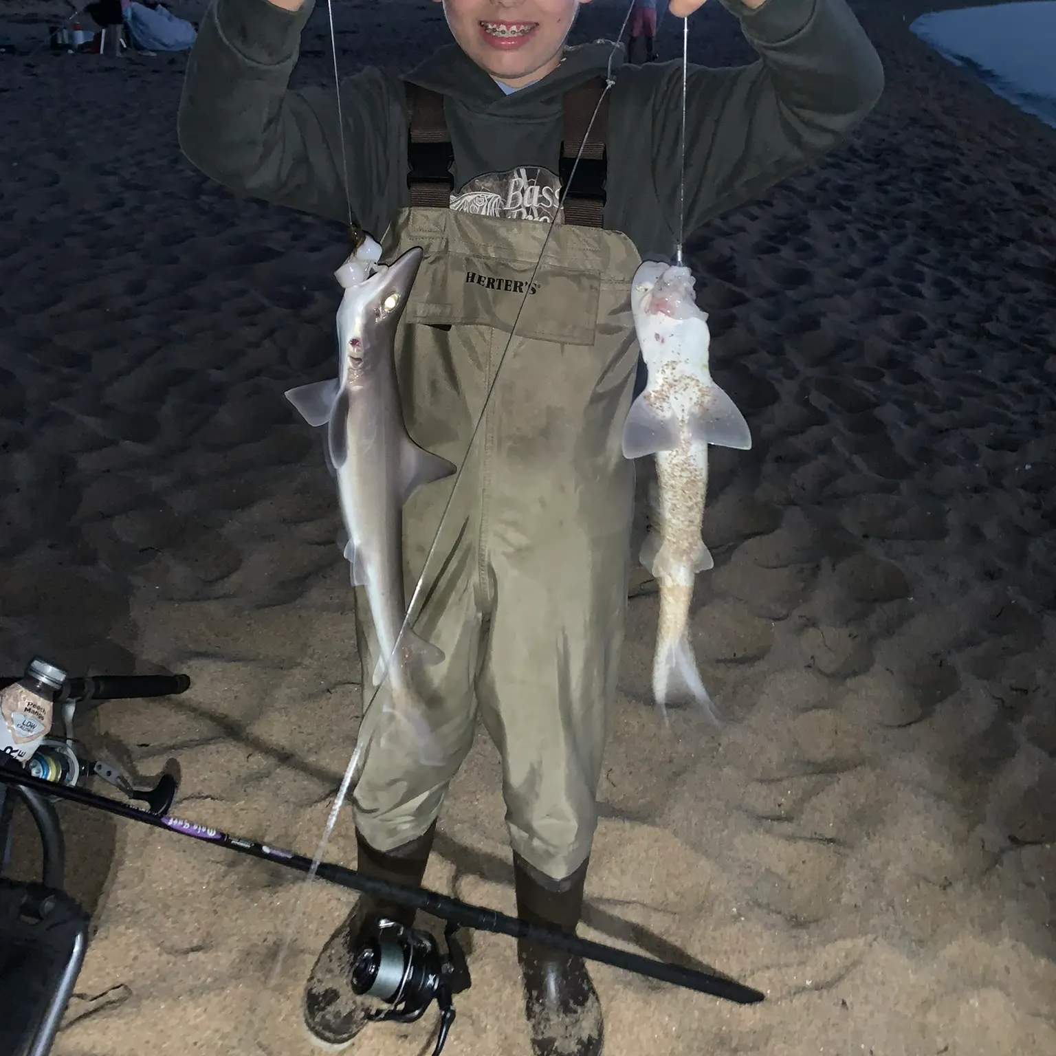 The most recent Piked dogfish catches on Fishbrain