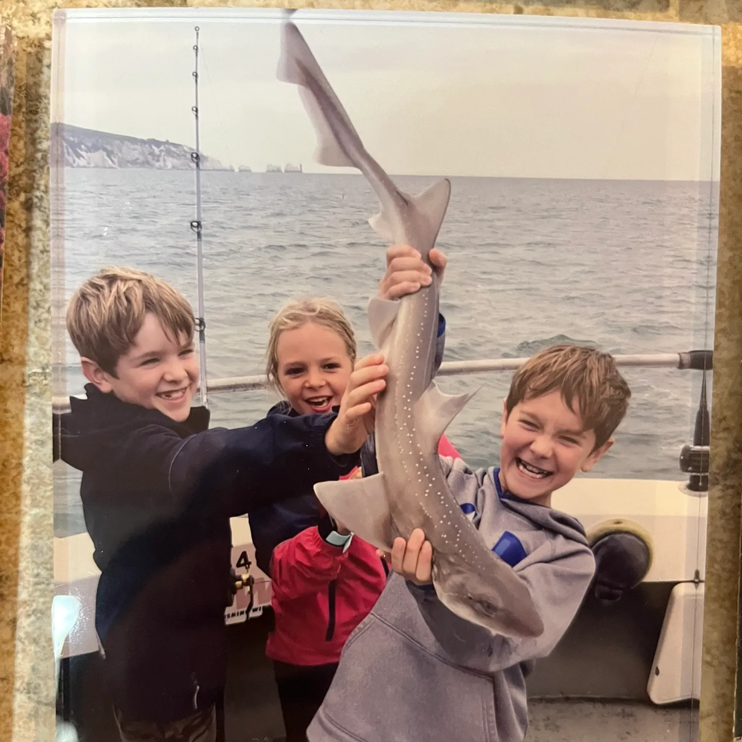 The most recent Copper shark catches on Fishbrain