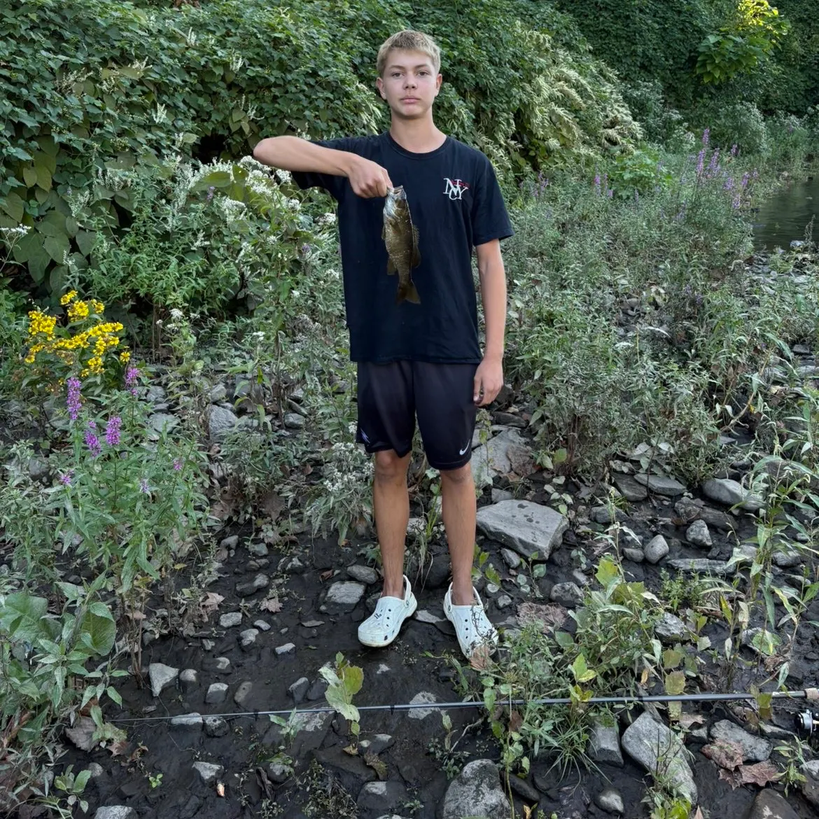 Smallmouth bass caught on Fishbrain
