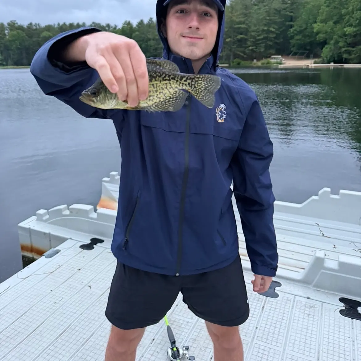 The most recent Black crappie catches on Fishbrain