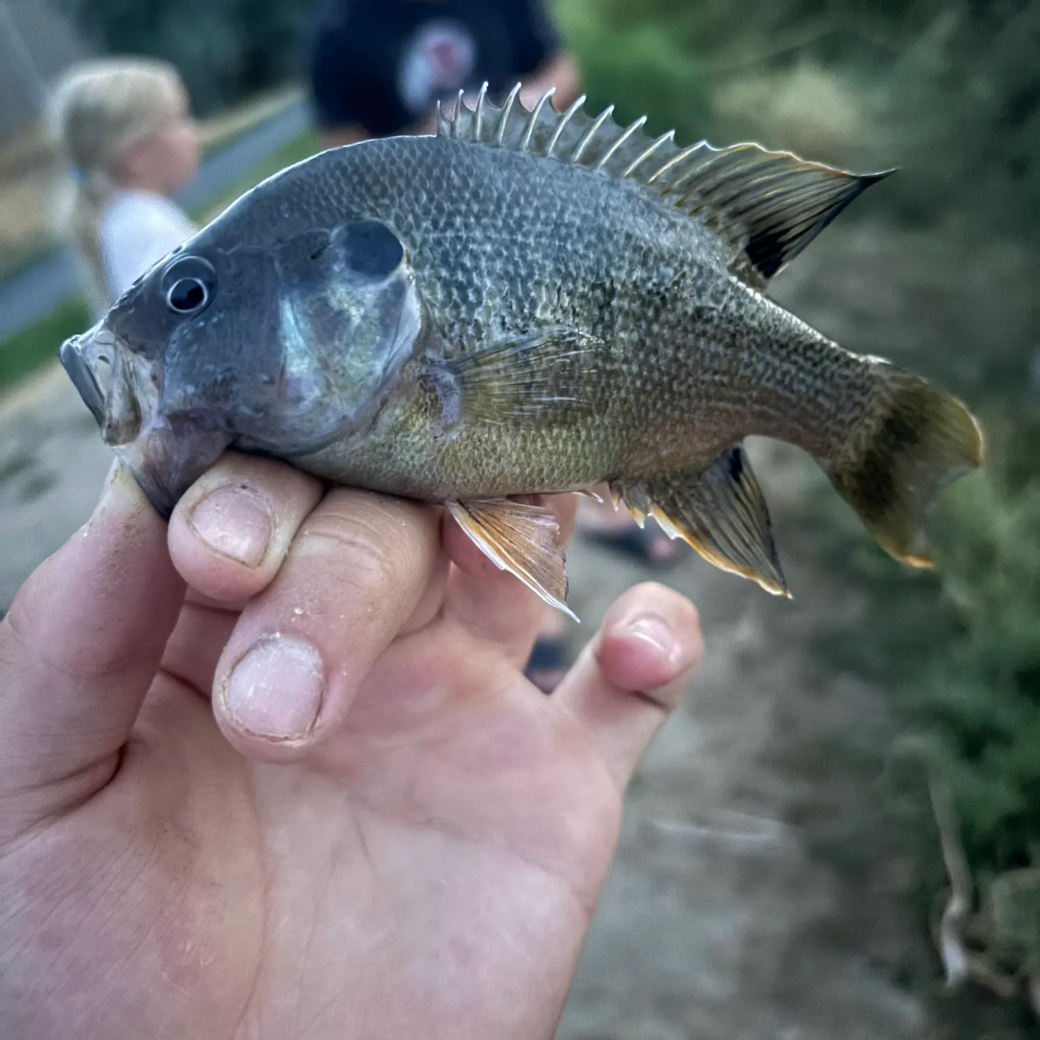 catch