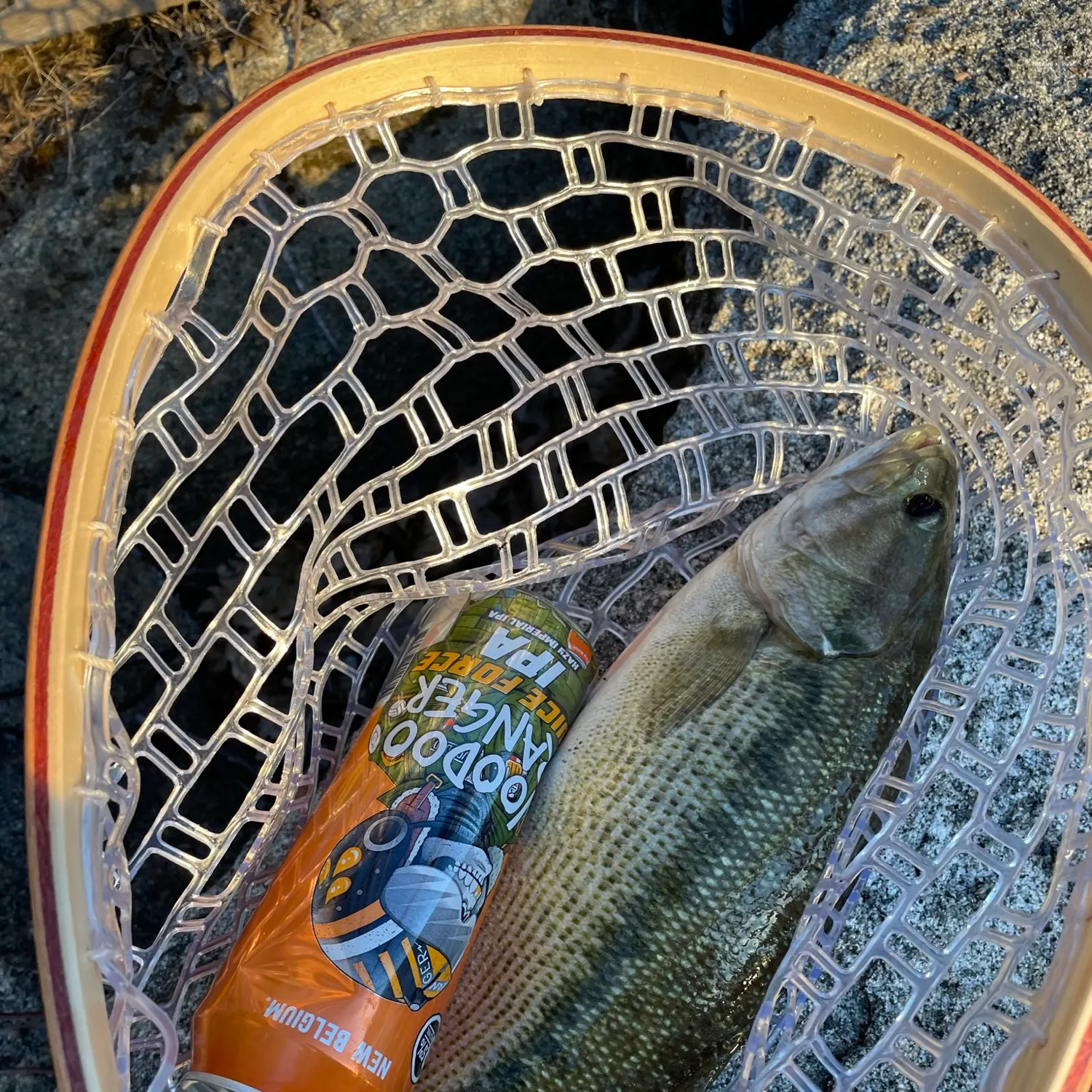 angler catch