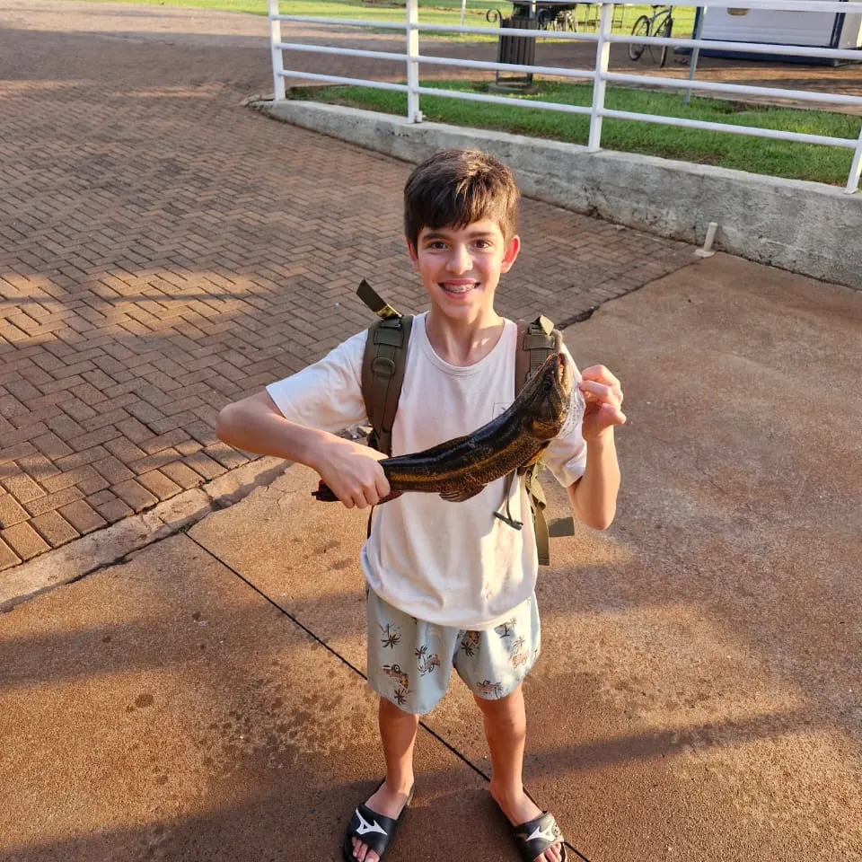 Trahira caught on Fishbrain
