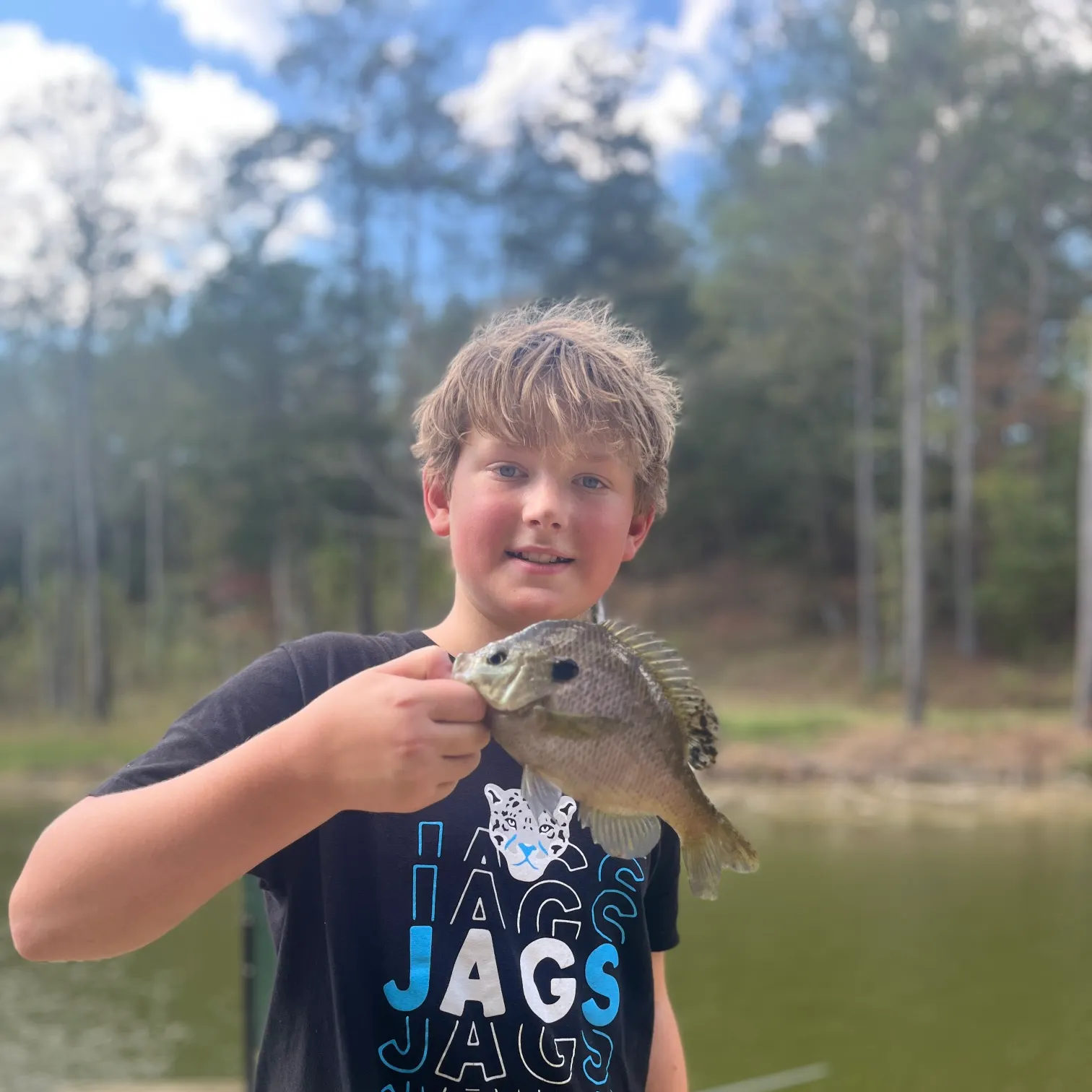 The most recent Bluegill catches on Fishbrain