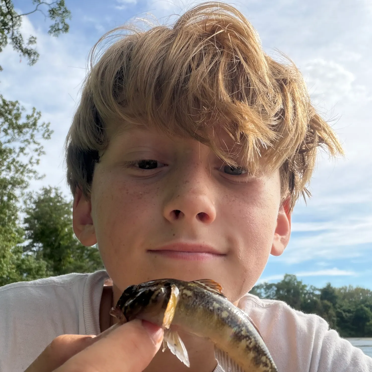 Round goby caught on Fishbrain