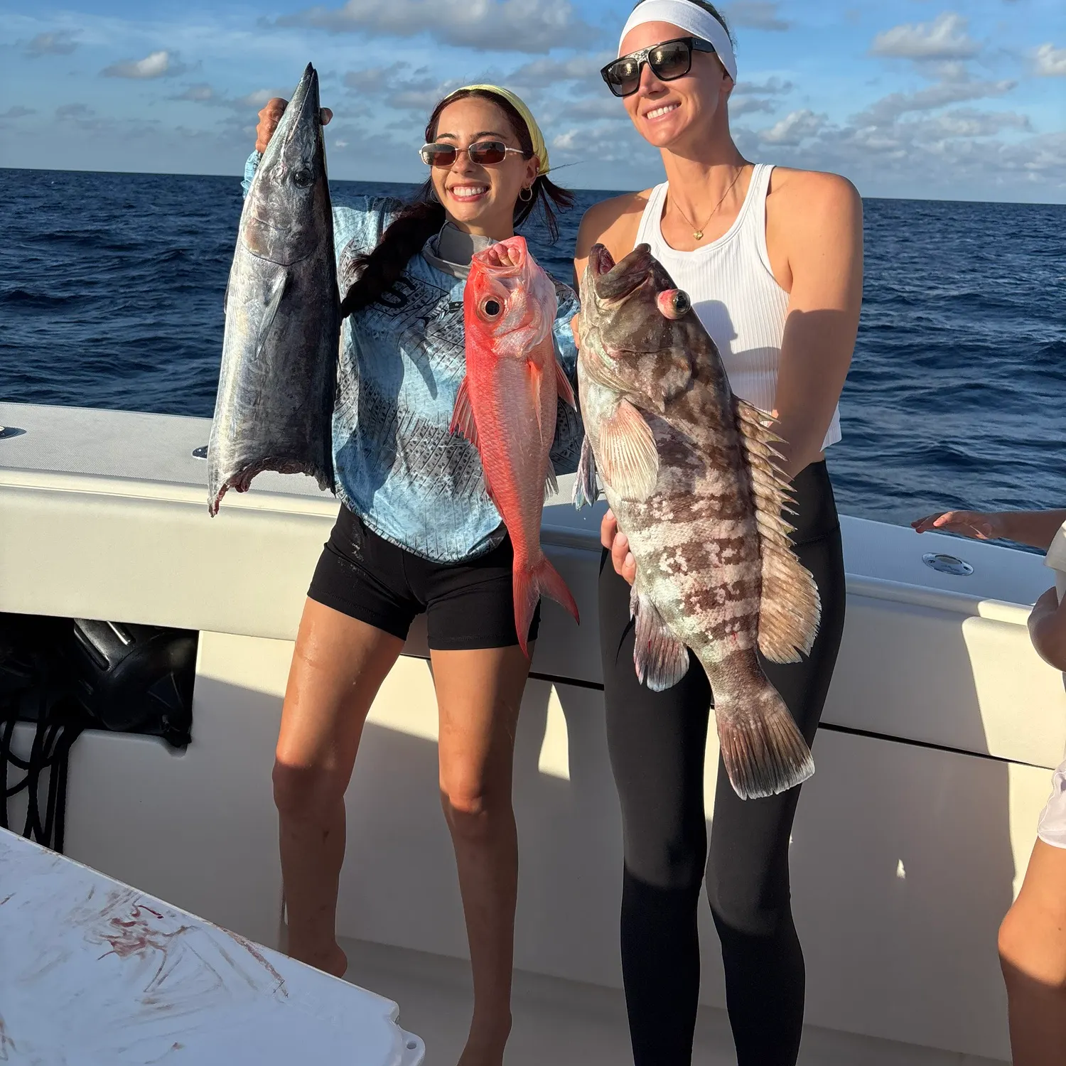 The most recent Misty grouper catches on Fishbrain