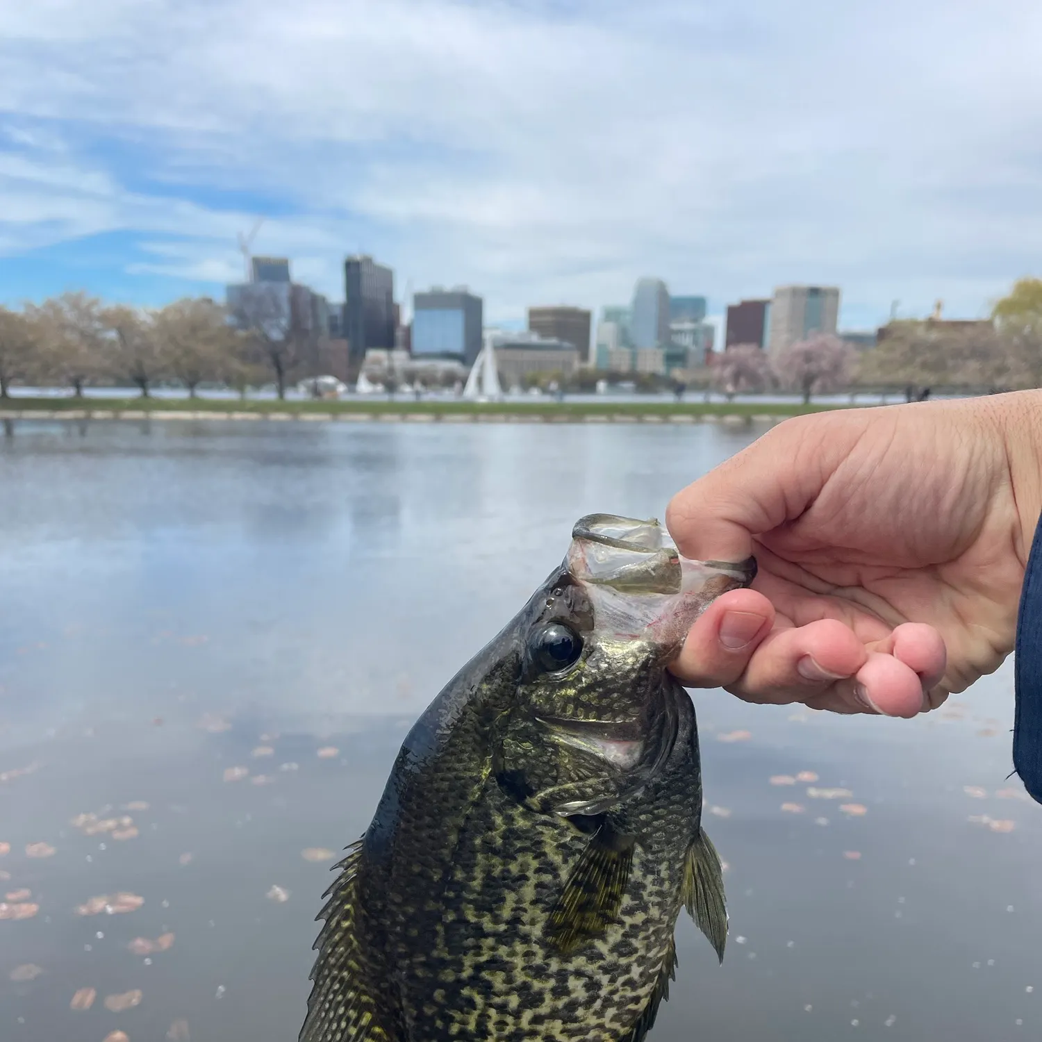 catch