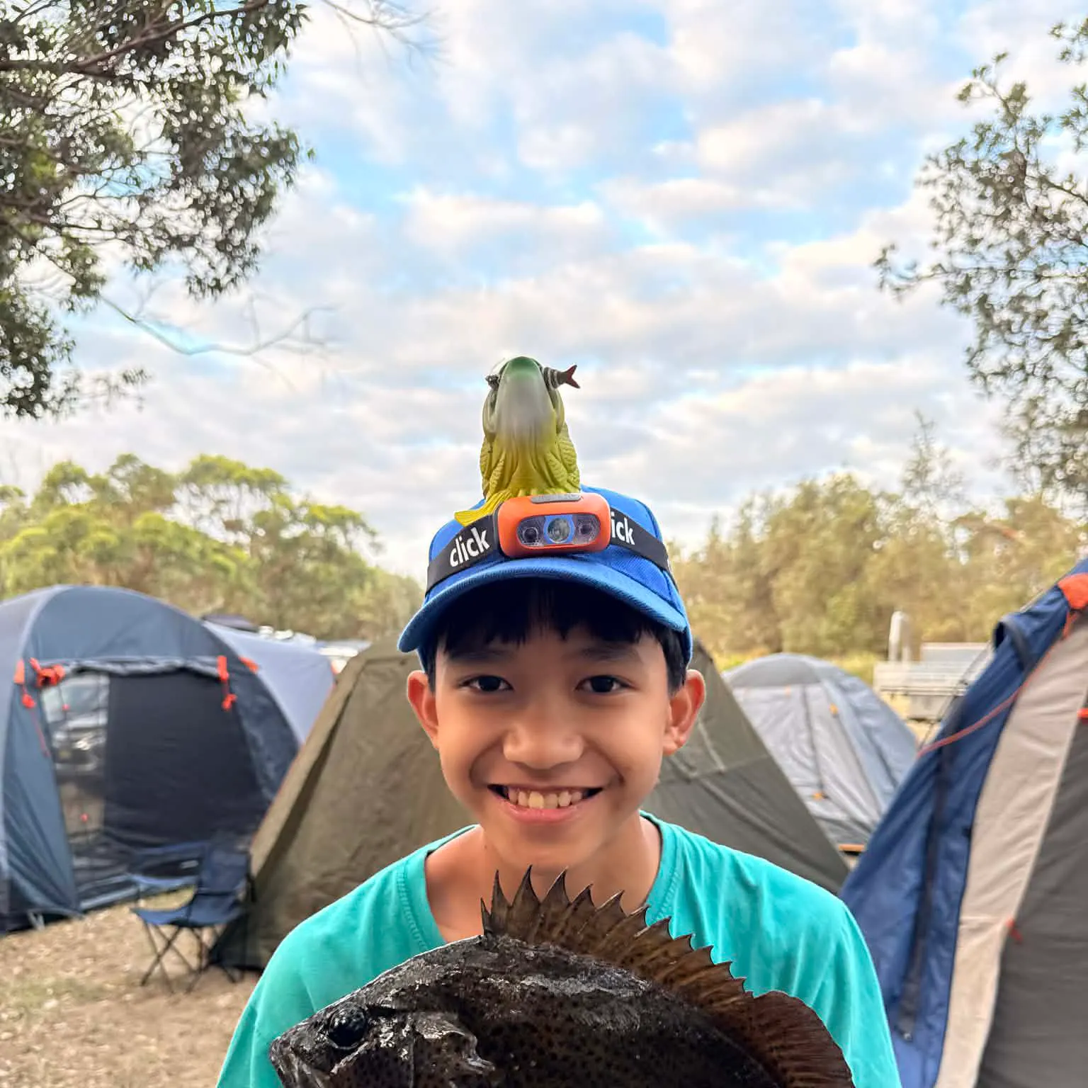 The most recent Malabar grouper catches on Fishbrain