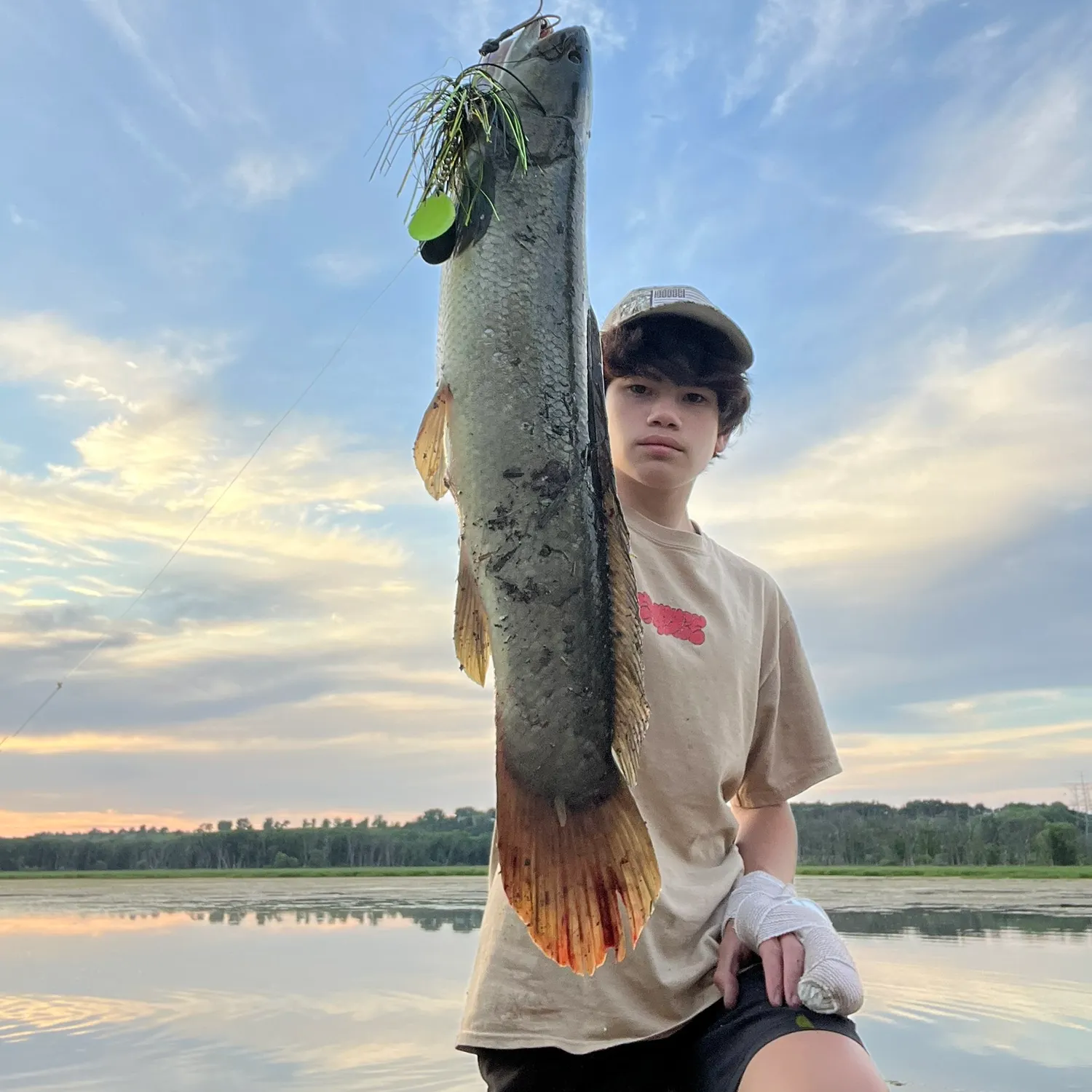 recently logged catches