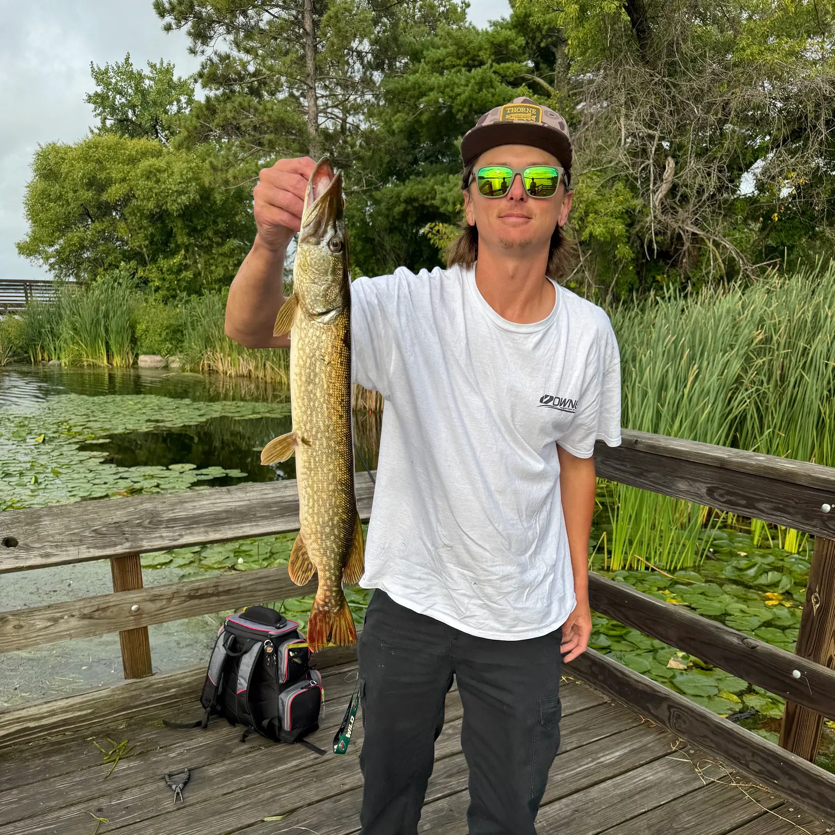 Northern pike caught on Fishbrain