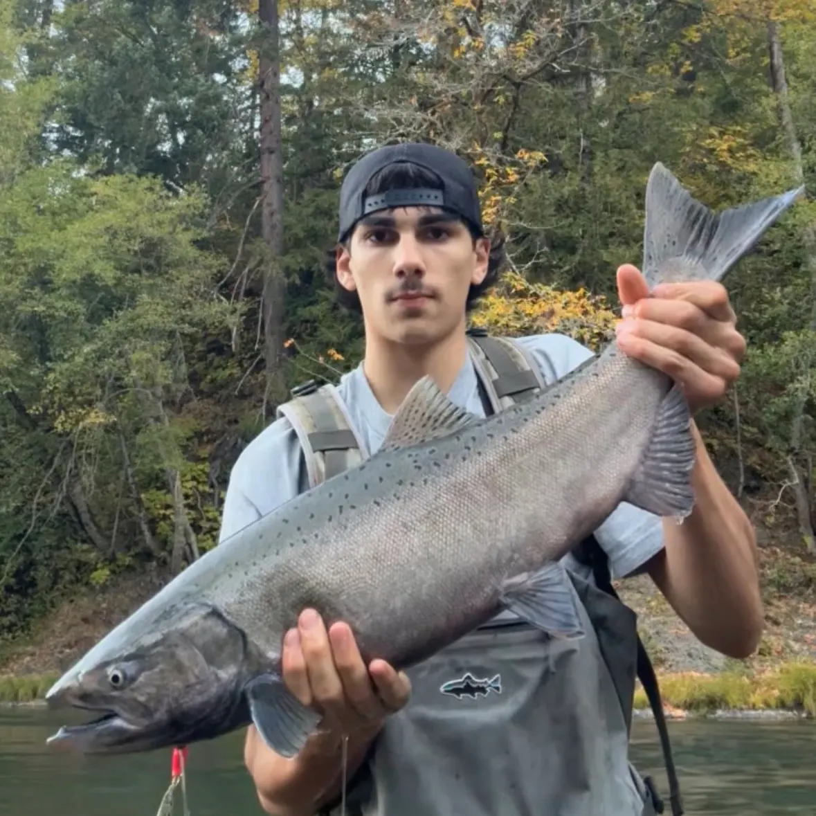 Chinook salmon caught on Fishbrain