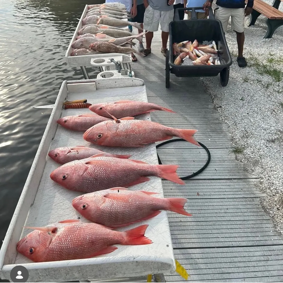 recently logged catches