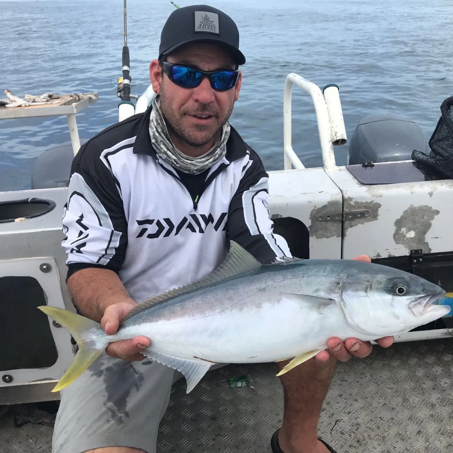 Southern yellowtail amberjack caught on Fishbrain