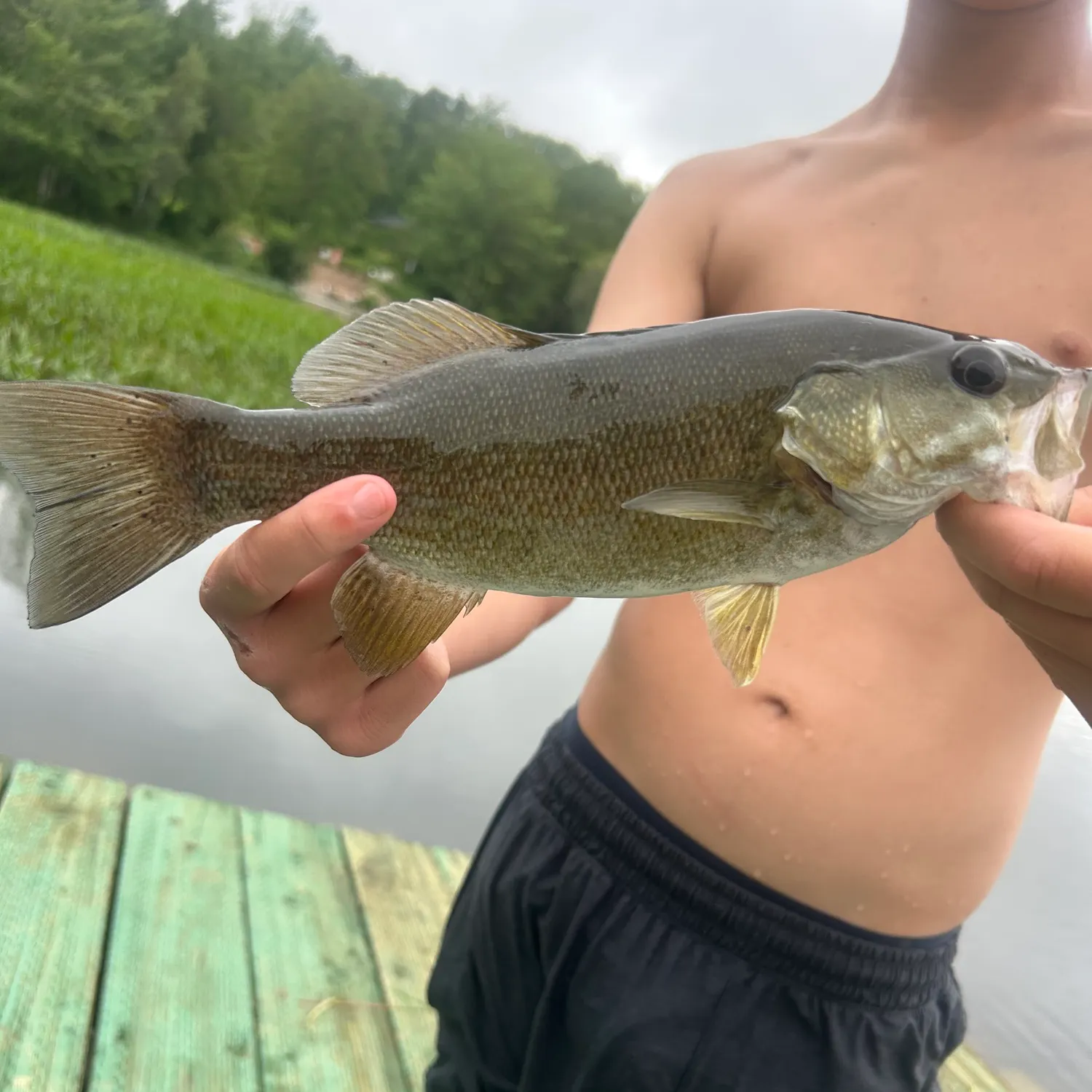 Smallmouth bass caught on Fishbrain