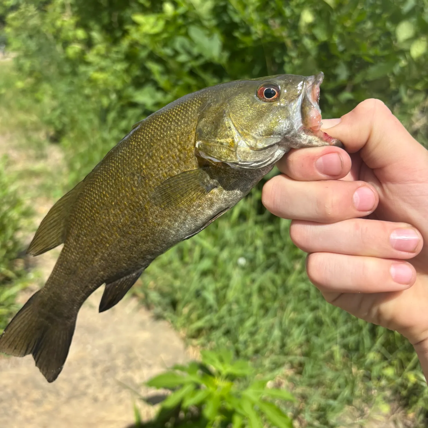 catch