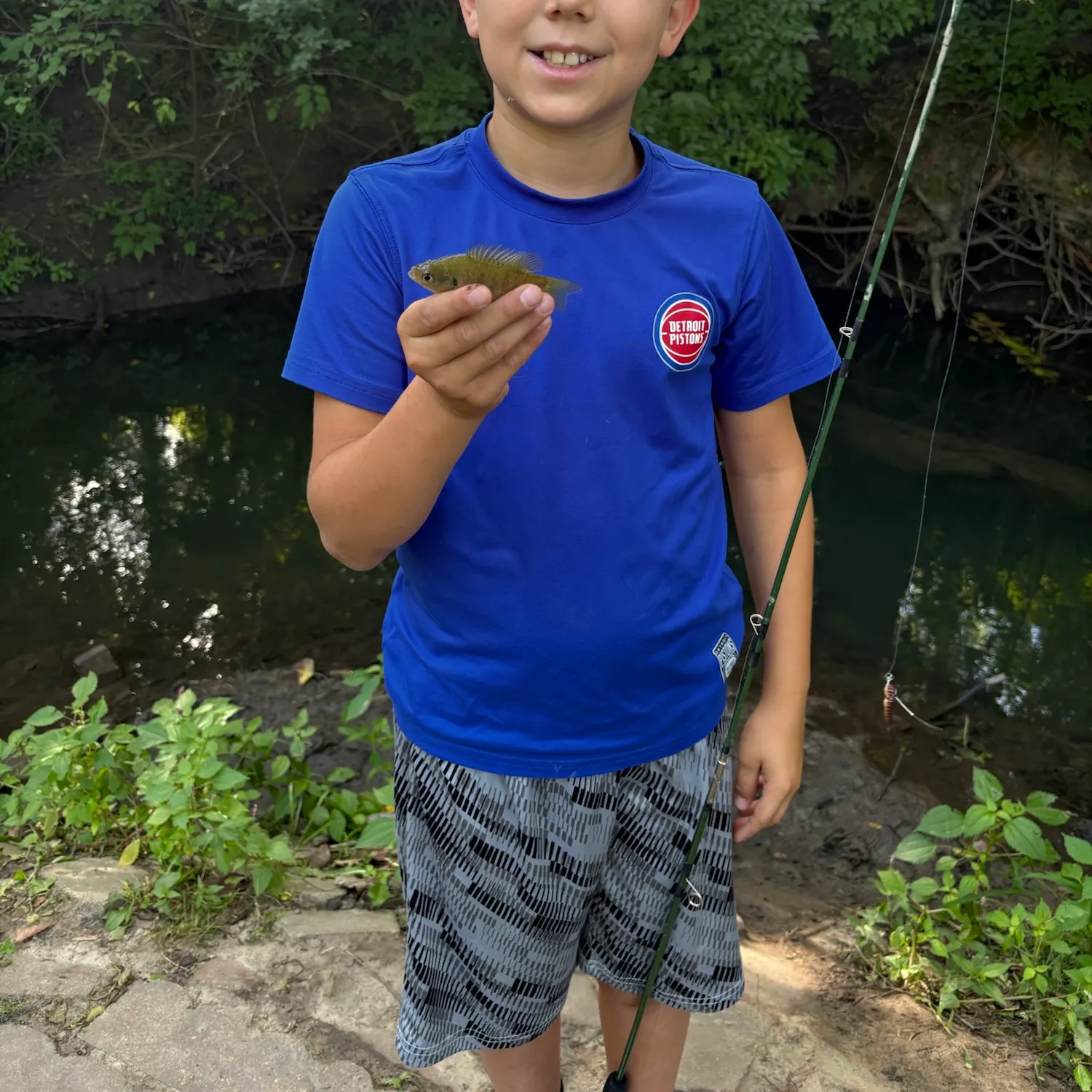 Bluegill caught on Fishbrain